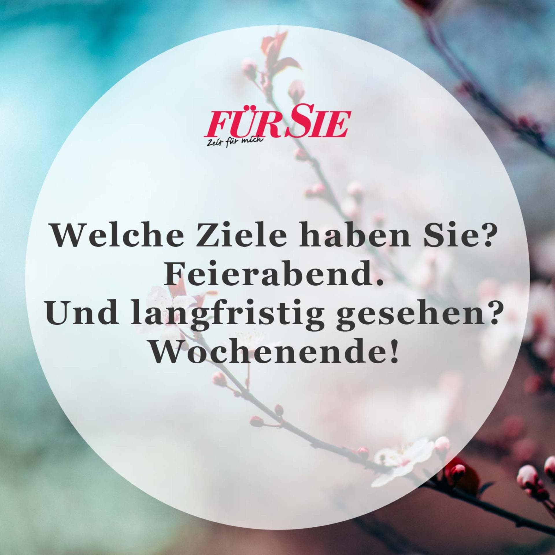 Spruch des Tages