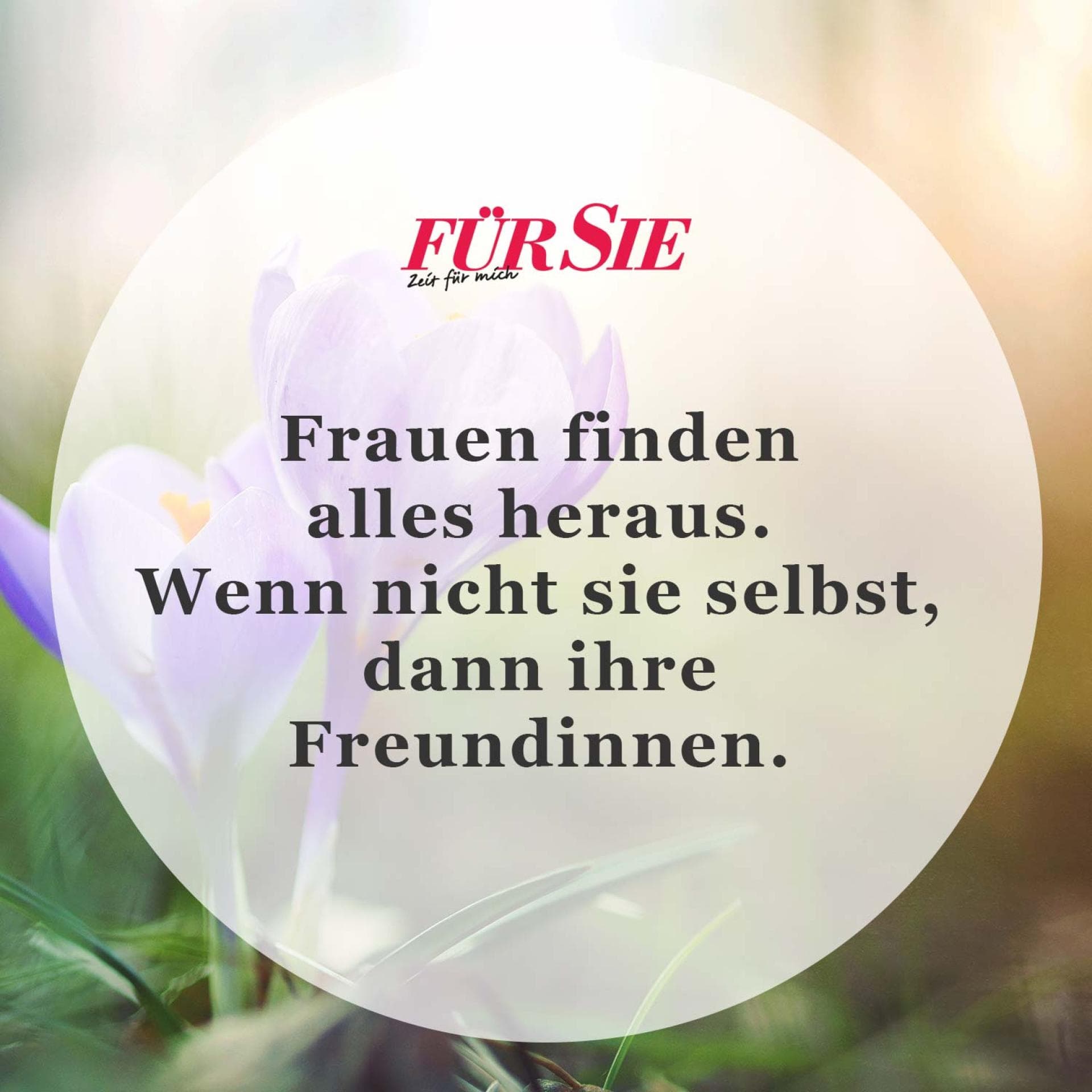 Spruch des Tages