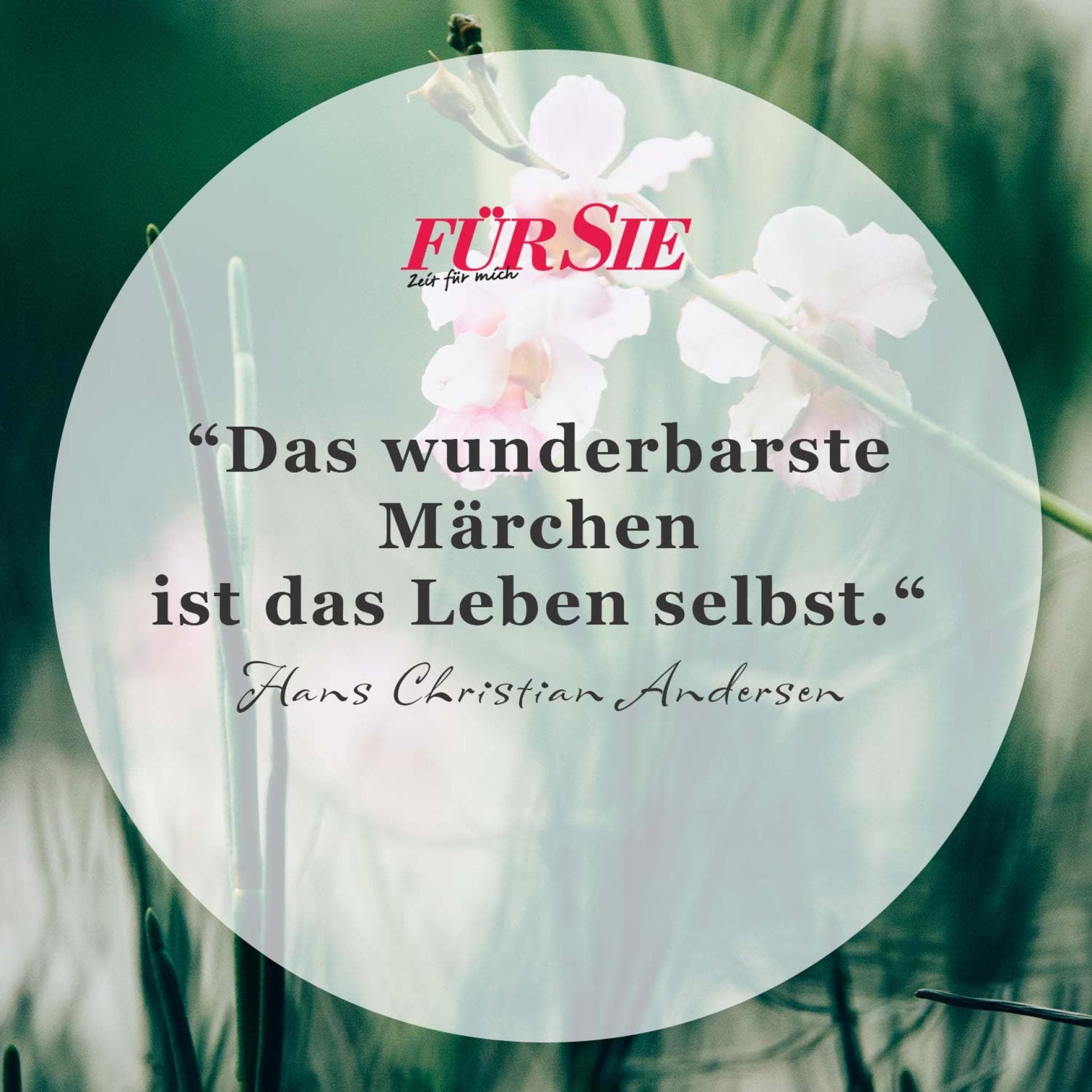 Spruch des Tages