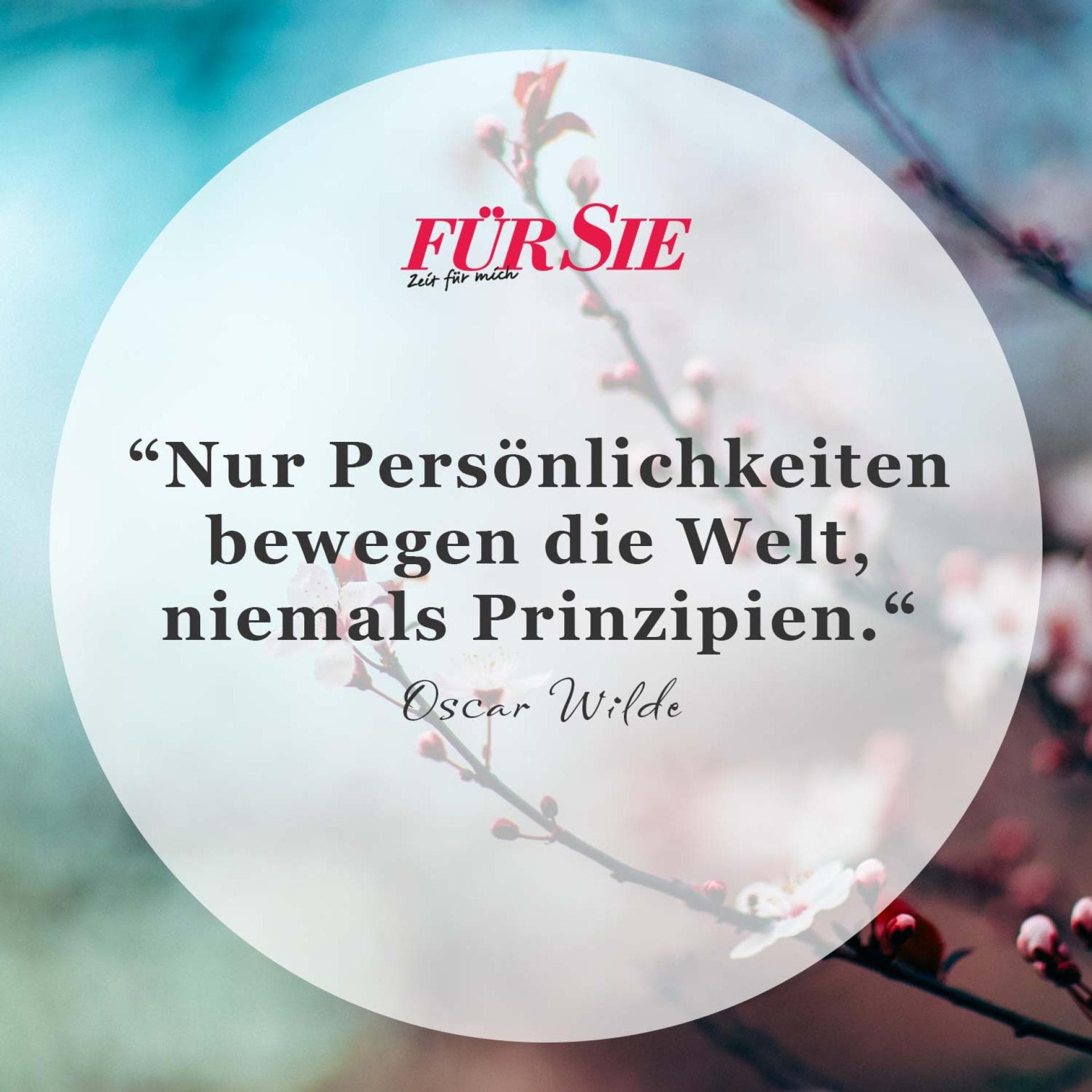 Spruch des Tages