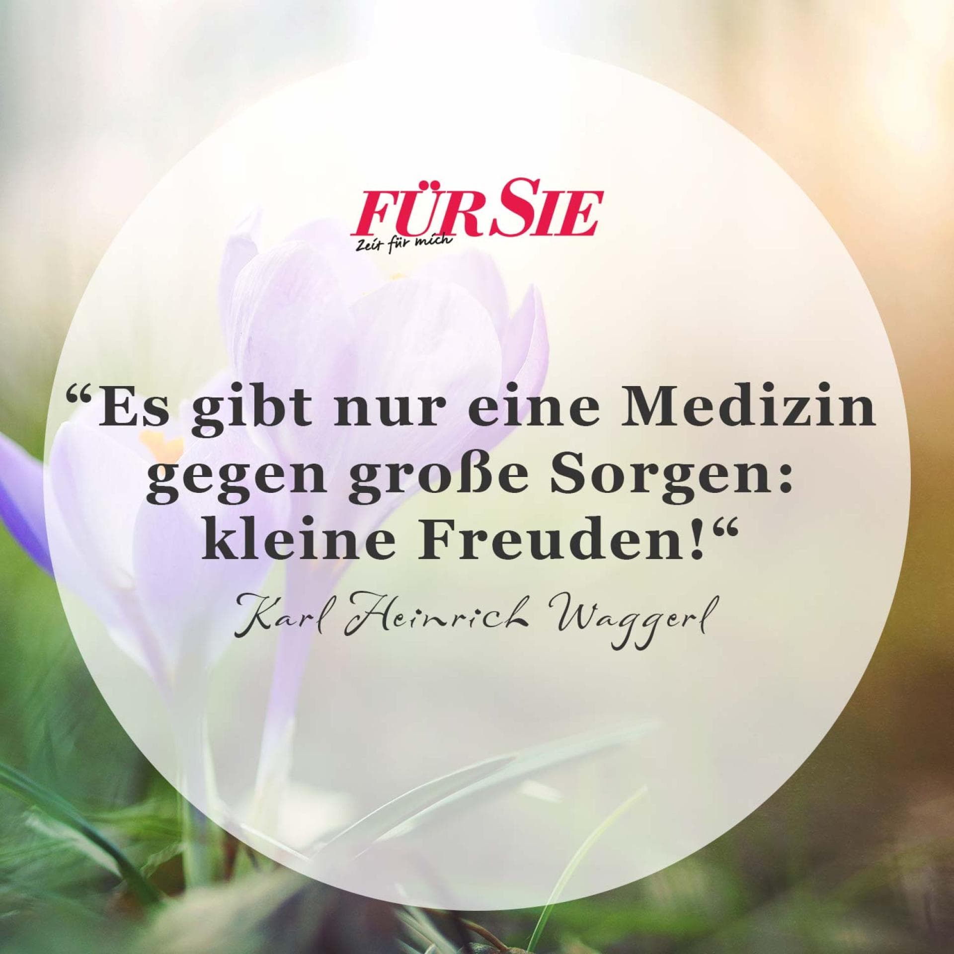 Spruch des Tages