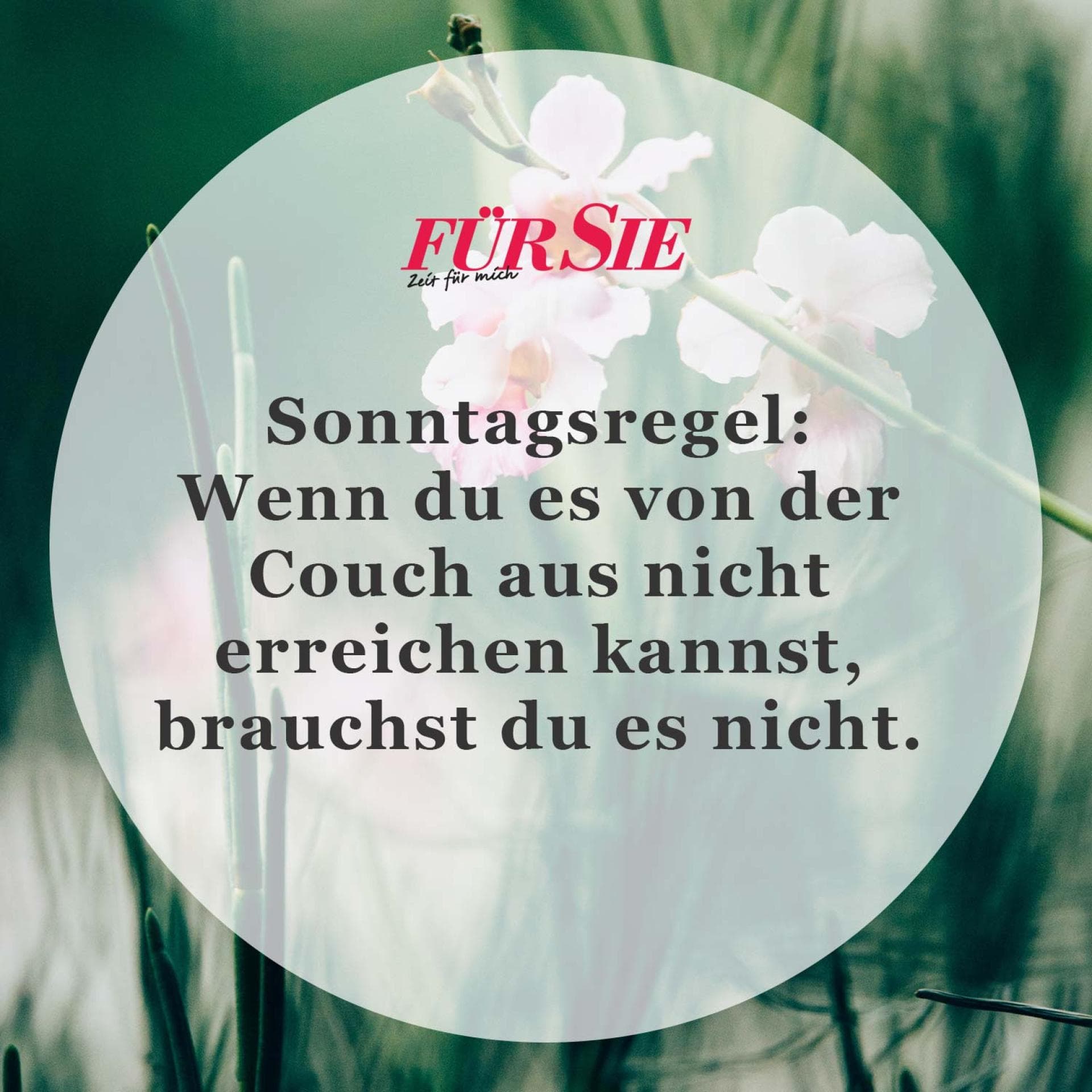 Spruch des Tages
