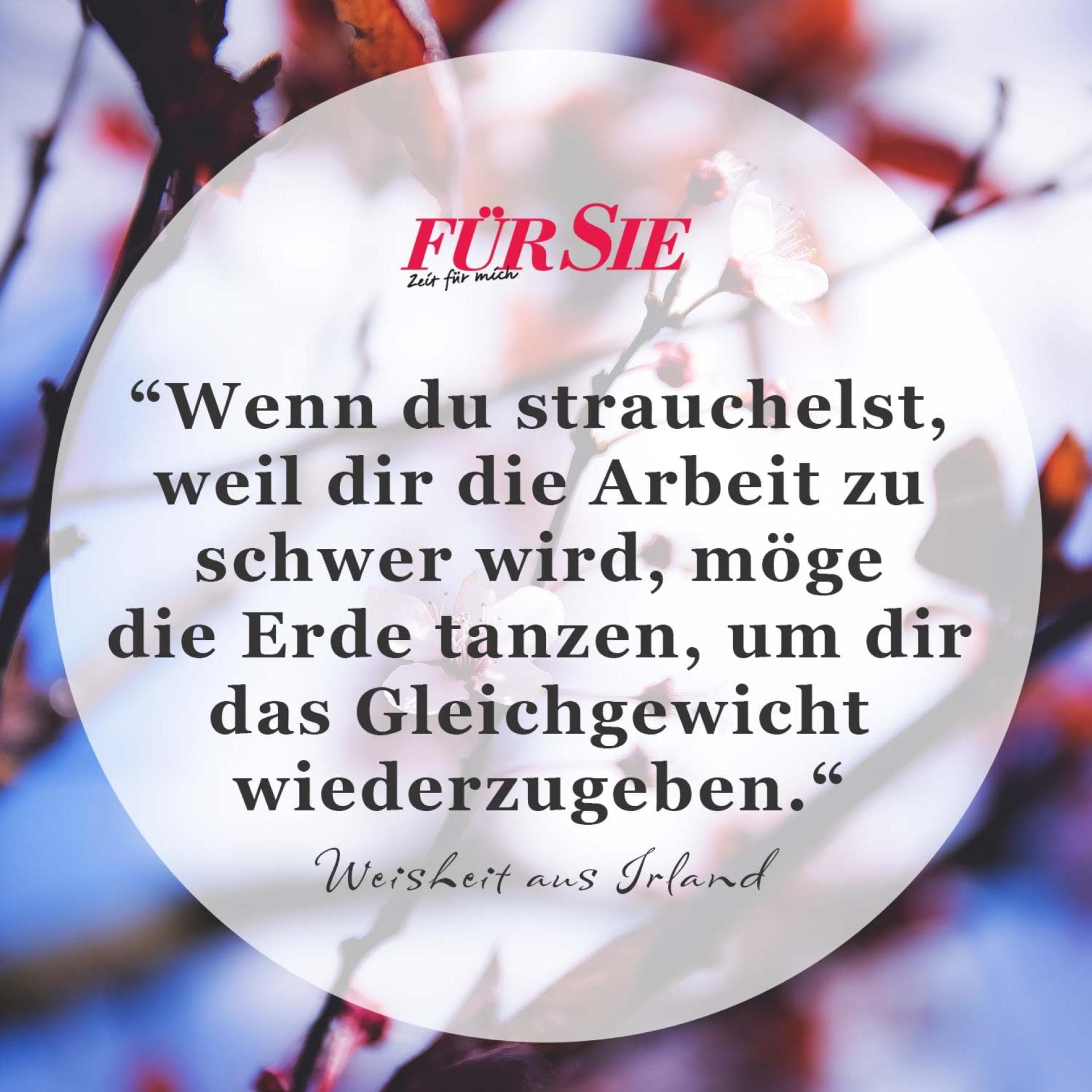 Spruch des Tages