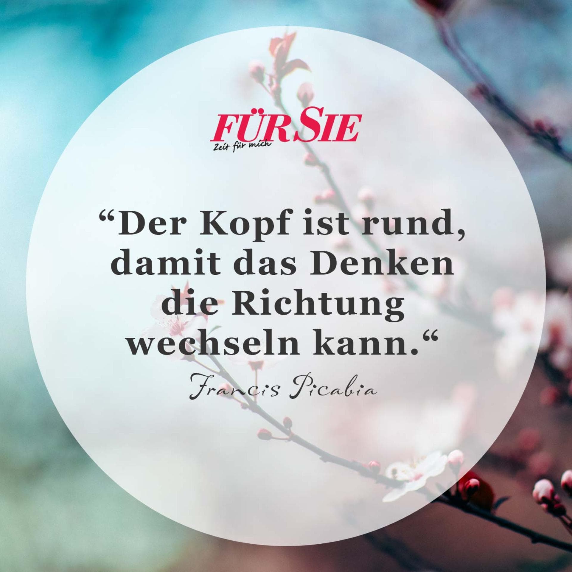 Spruch des Tages