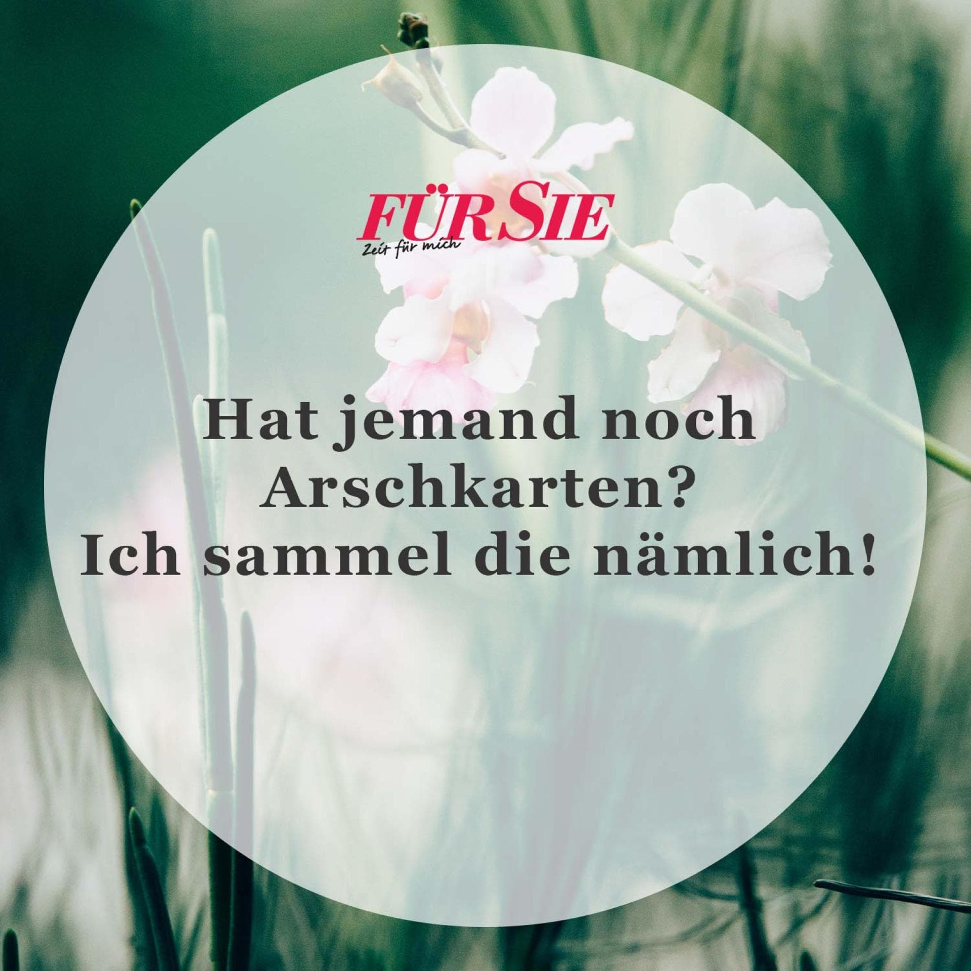 Spruch des Tages