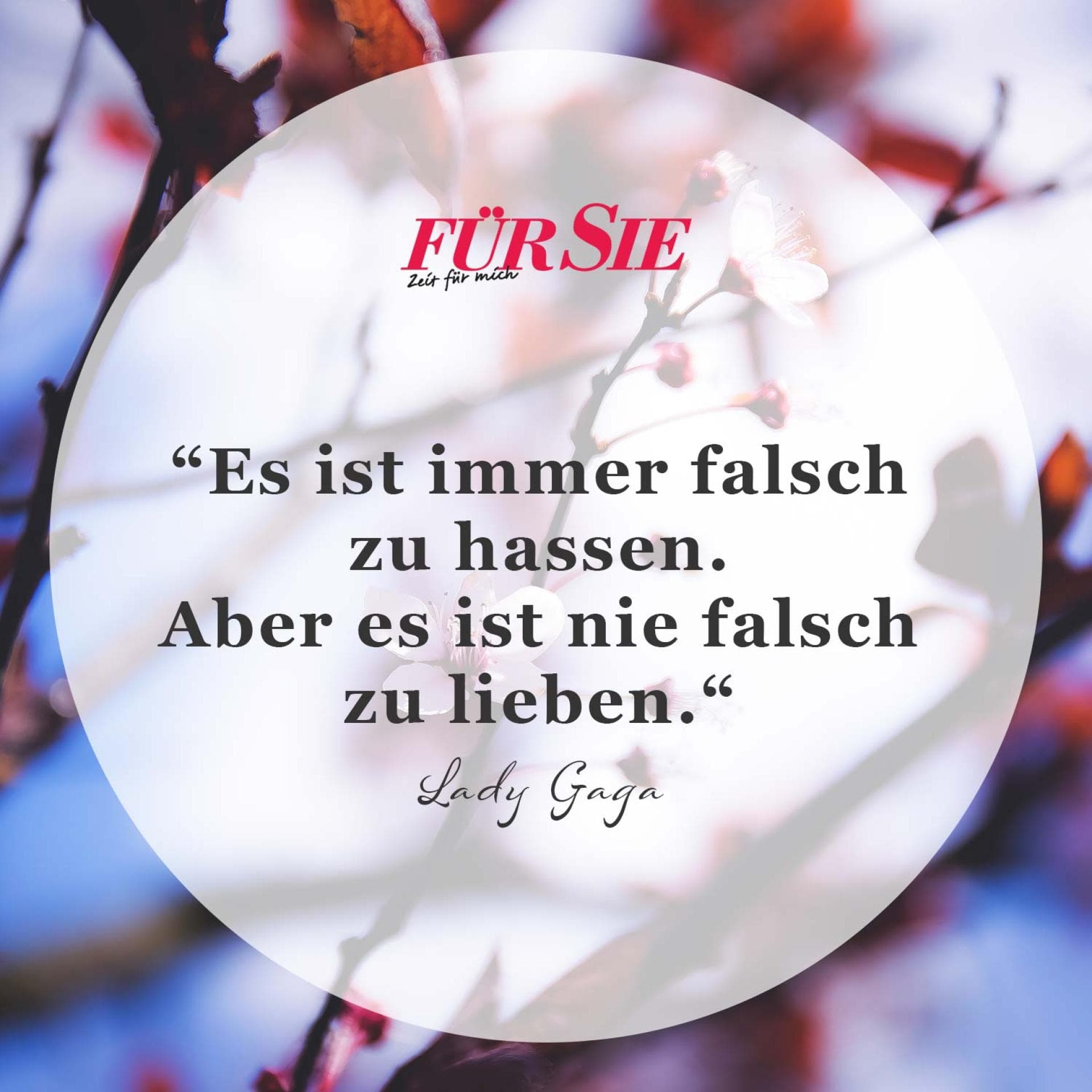 Spruch des Tages