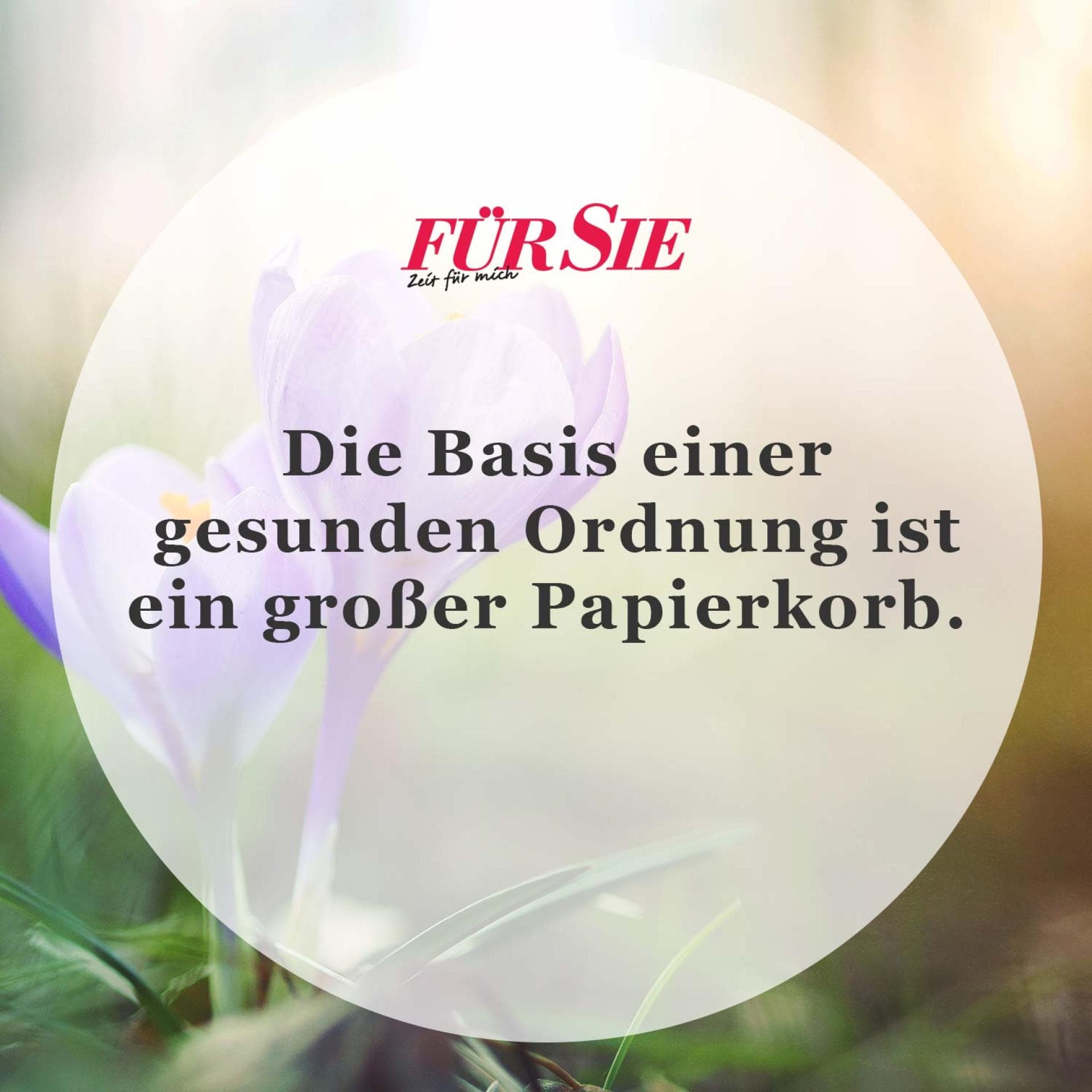 Spruch des Tages