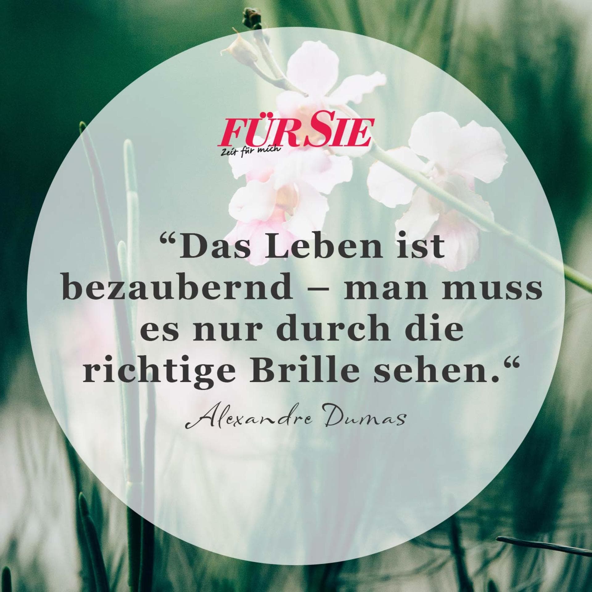 Spruch des Tages