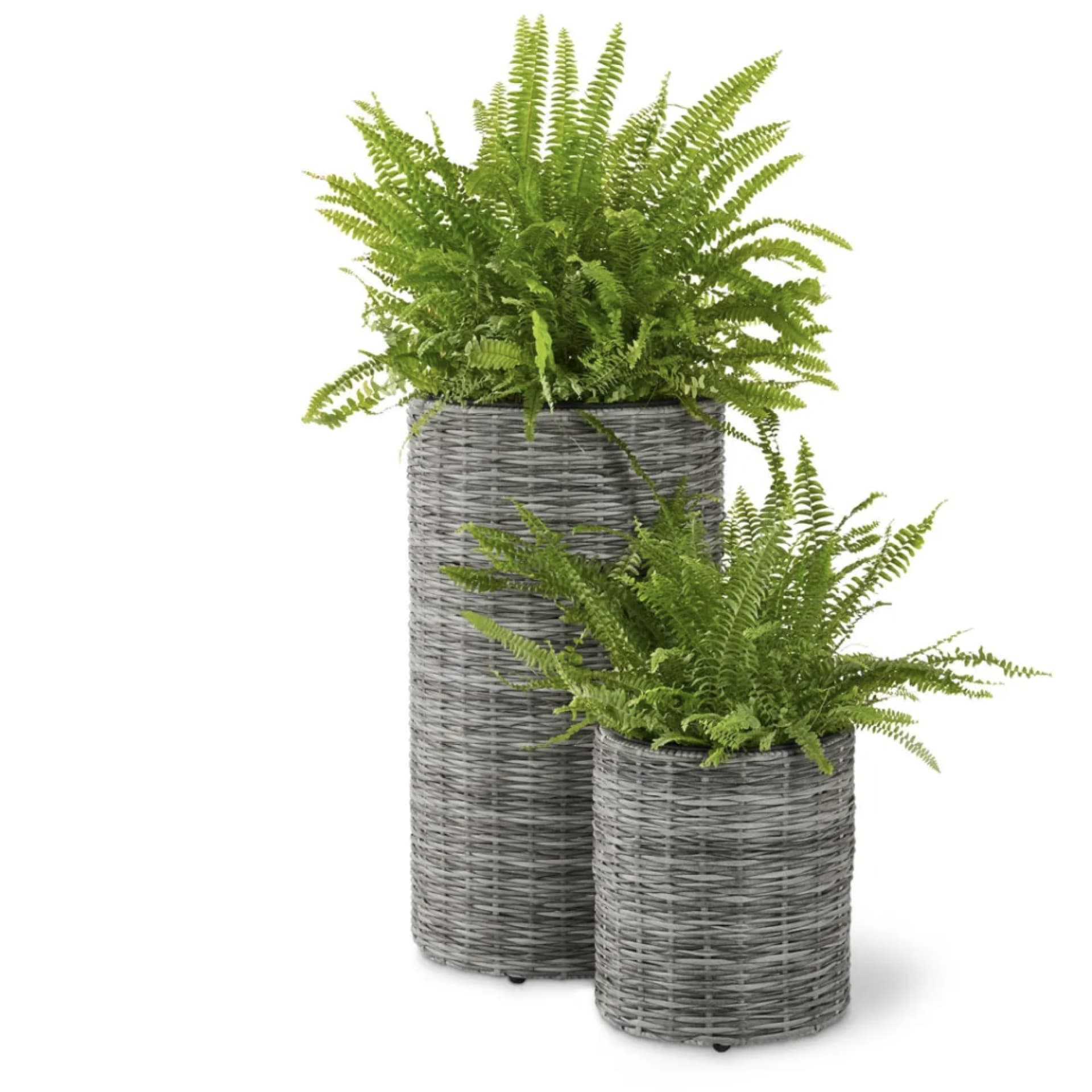 Topf aus Rattan 