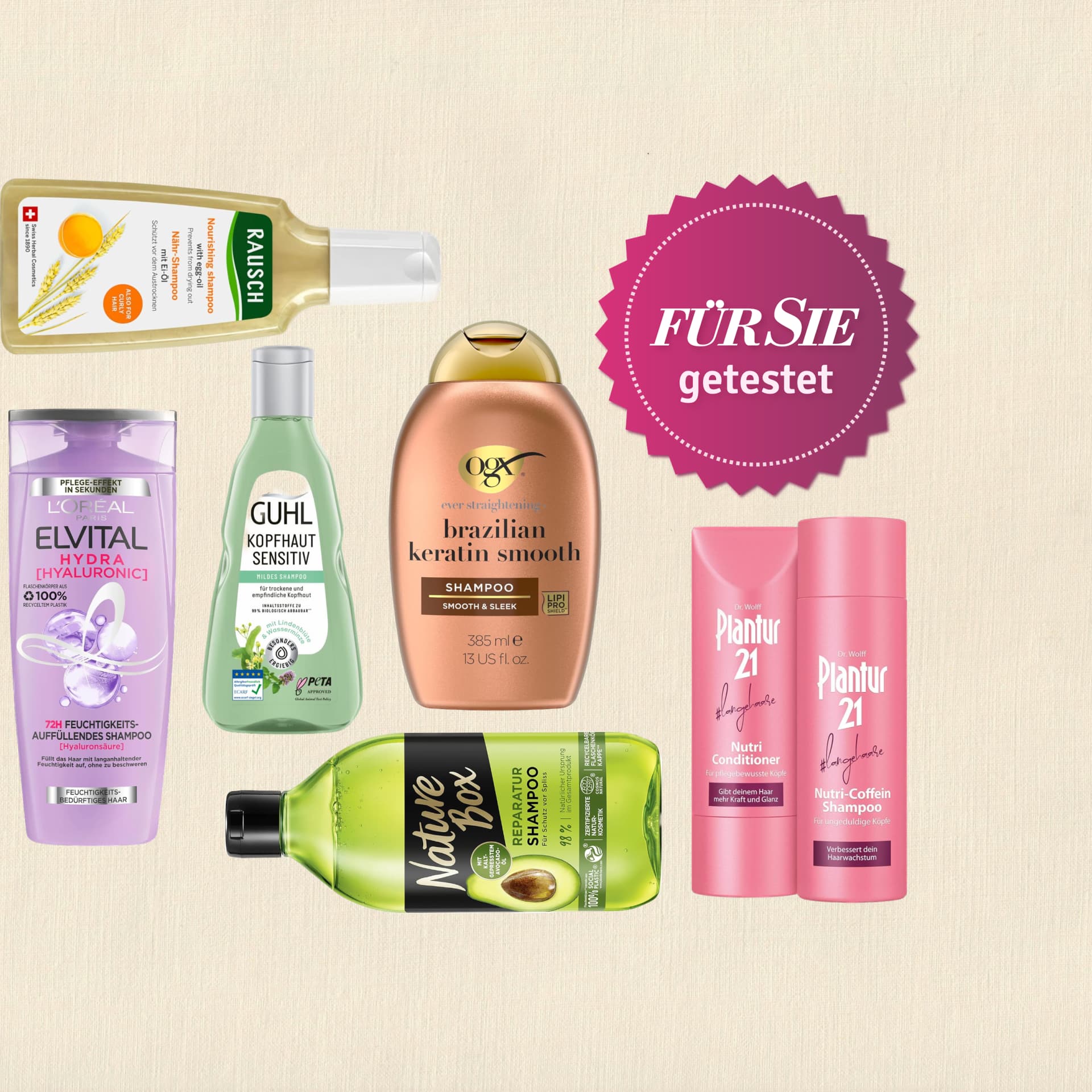 Die Top 10 der besten Drogerie-Shampoos - gnstig & gut