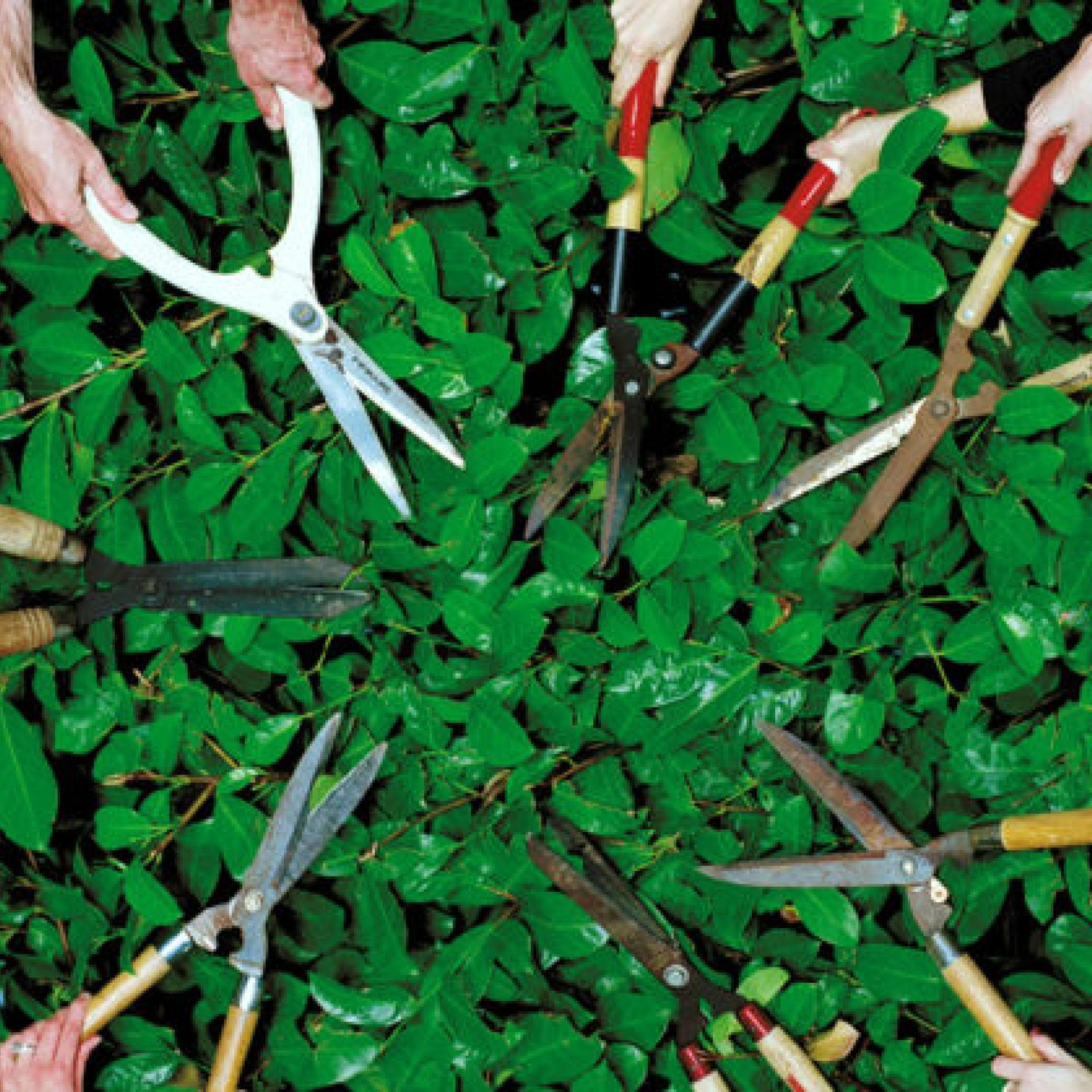 Gartenarbeit