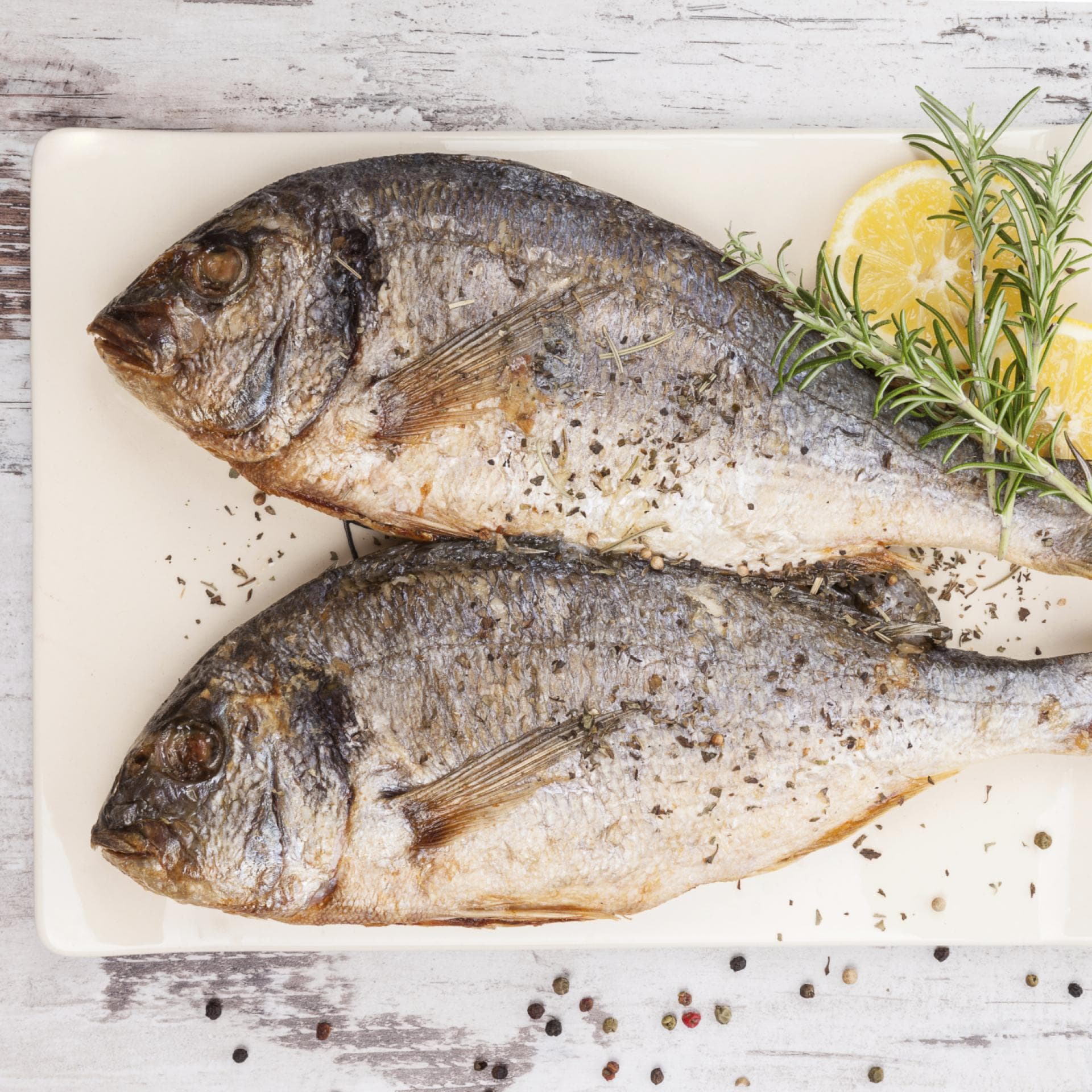 Fisch richtig zubereiten Fisch richtig zubereiten - So gelingt Ihnen das perfekte Fischgericht
