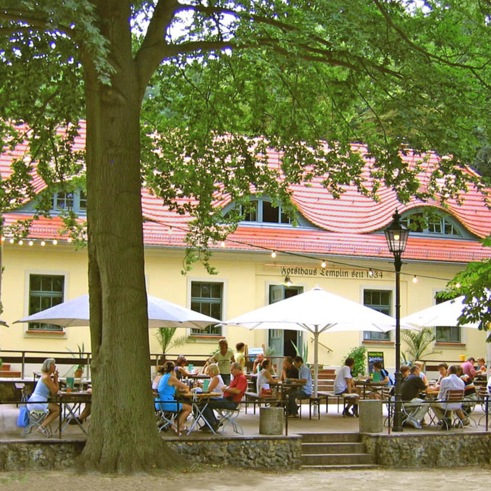 Baumanufraktur Forsthaus Templin