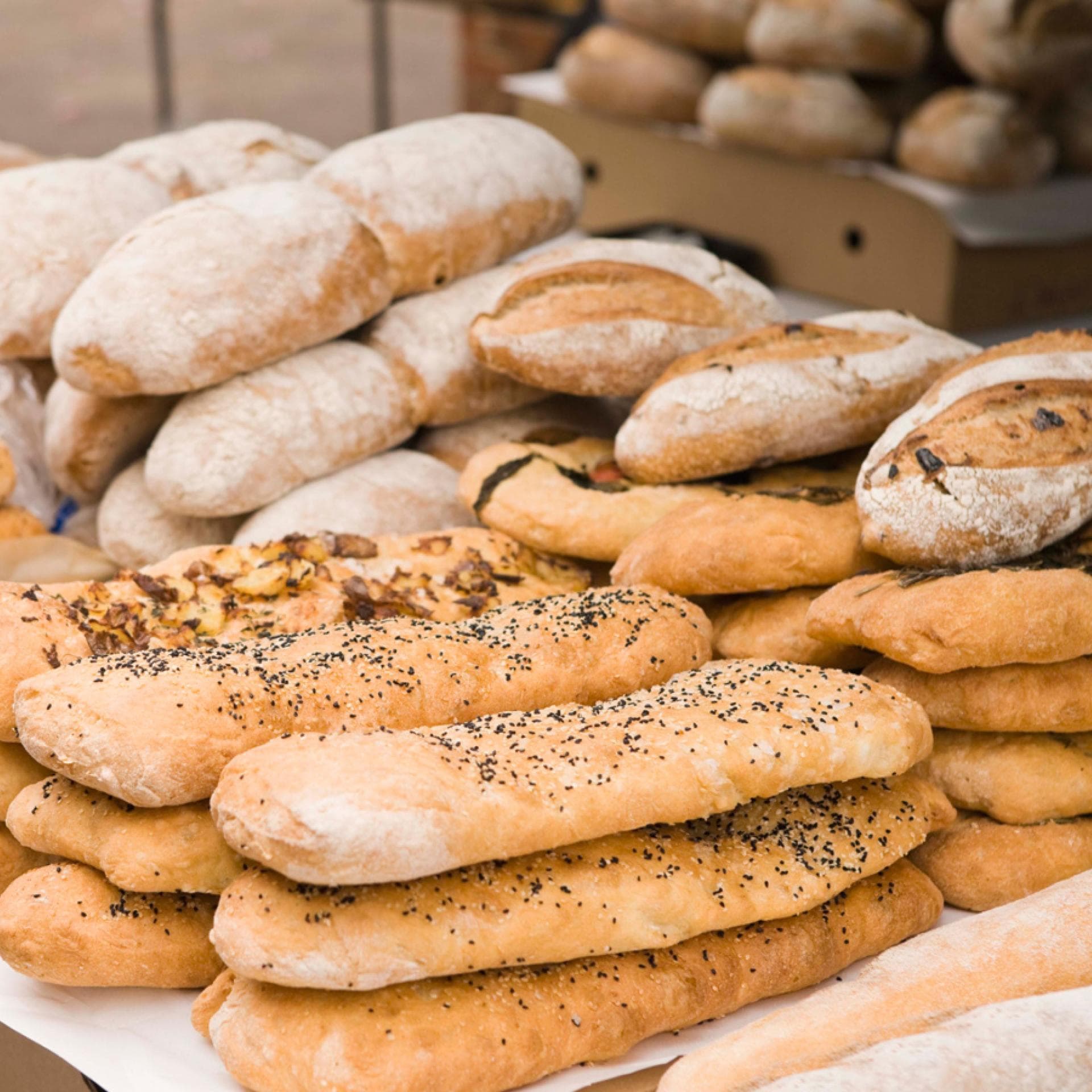Sammlung verschiedener Brotsorten Sammlung verschiedener Brotsorten - In unserem Brot-Lexikon von A bis Z erhalten Sie Nachhilfe