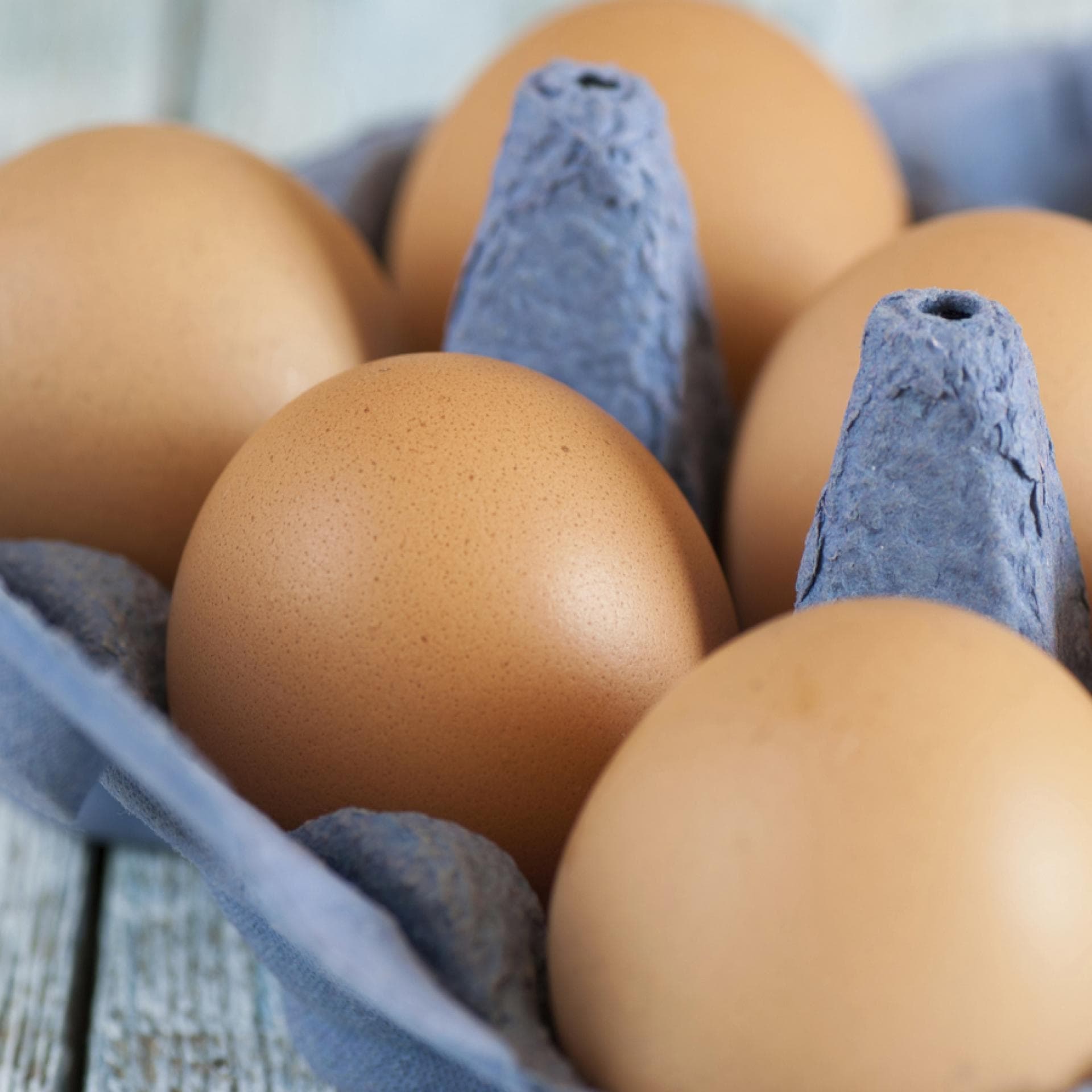 Eier - Aufbereitung und Resteverwertung von Eiern 