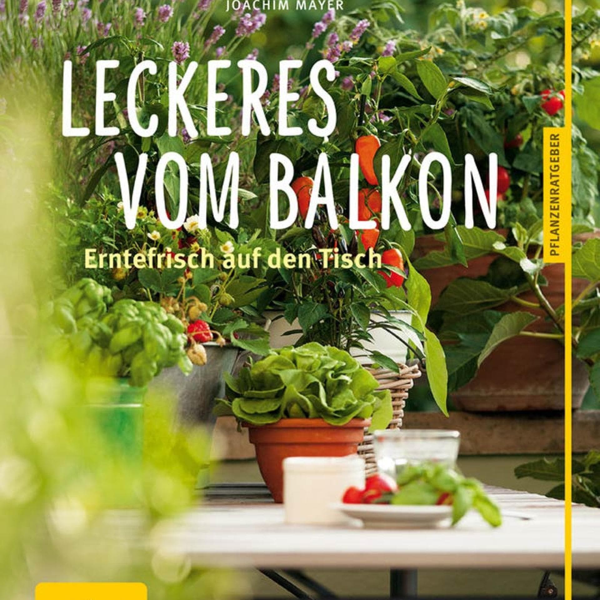 Ratgeber von GU "Leckeres vom Balkon" 