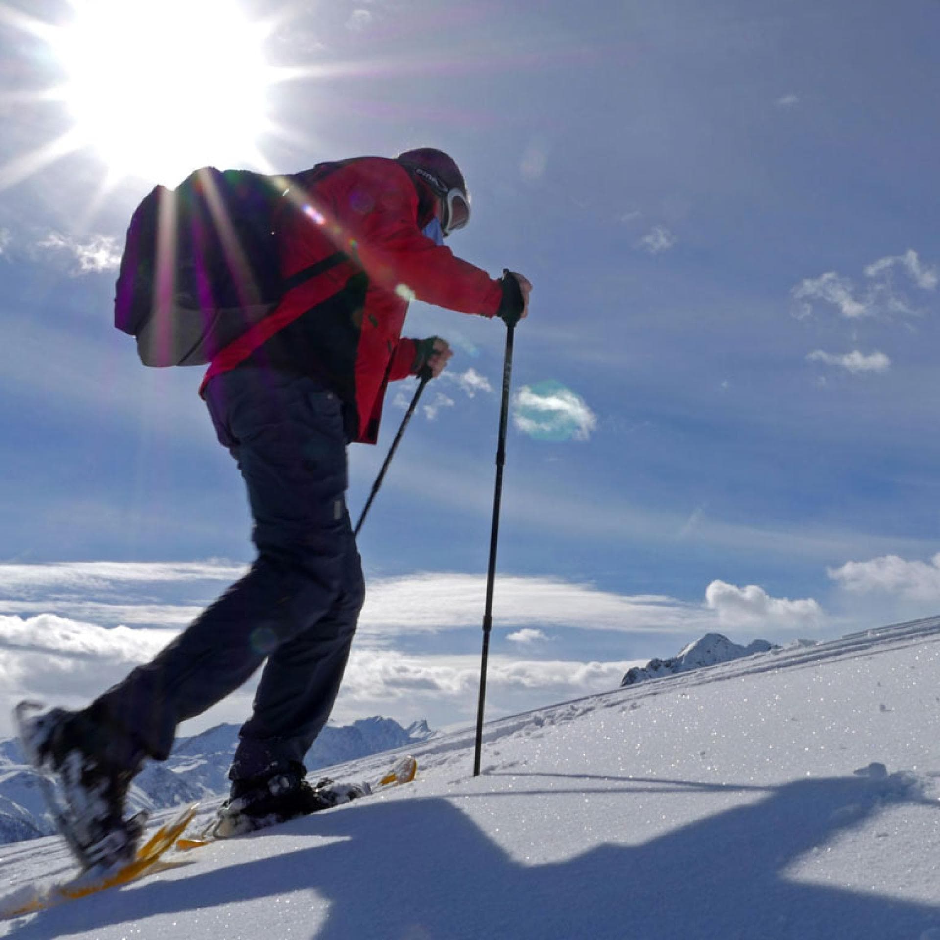 Schweiz: Walliser Alpenpanorama