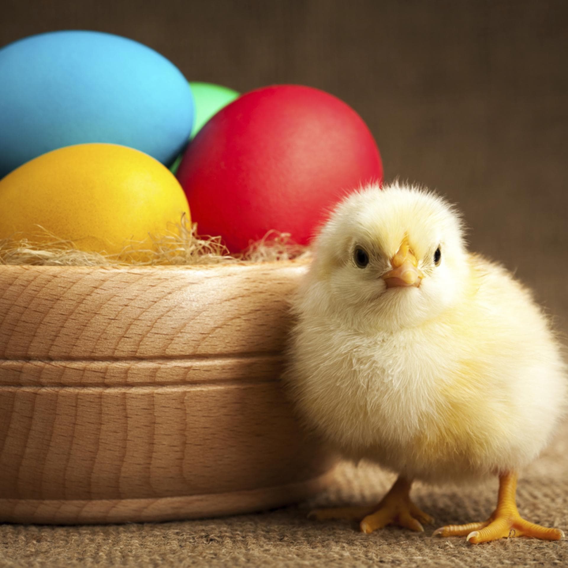 Ostern - Hier finden Sie unsere schönsten Gedichte und Sprüche für Ostern