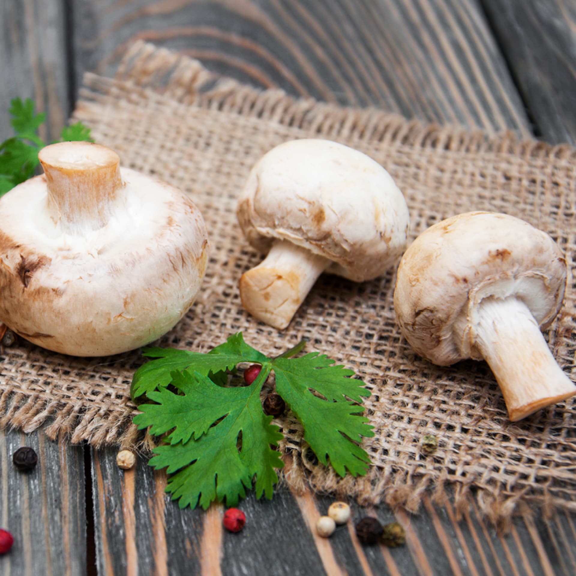 Rohe Champignons auf einem Brettchen
