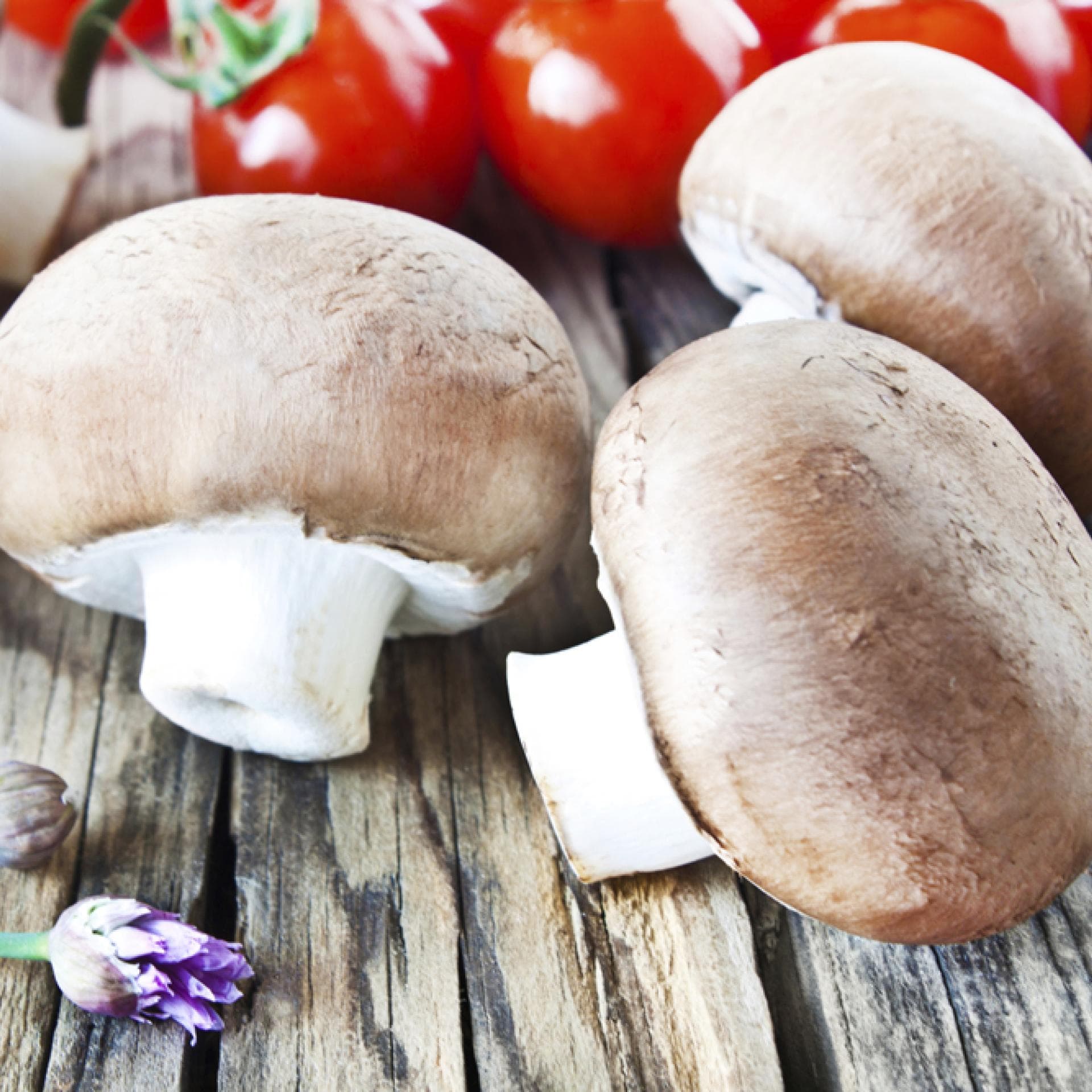 Pilze - Das gesunde Gemüse aus Wald schmeckt und ist gesund