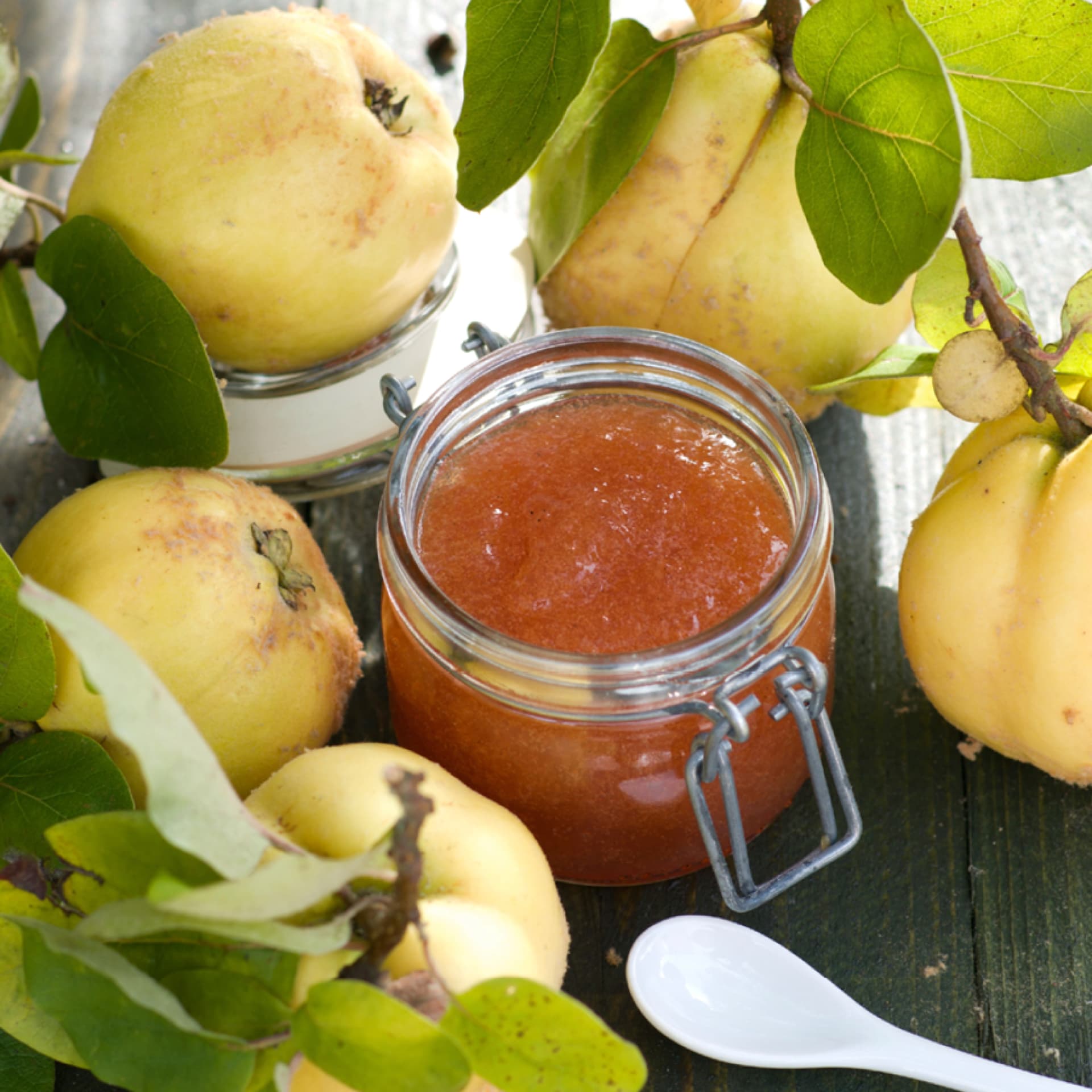 Quittenmus einkochen Quittenmus im Glas umgeben von Quitten