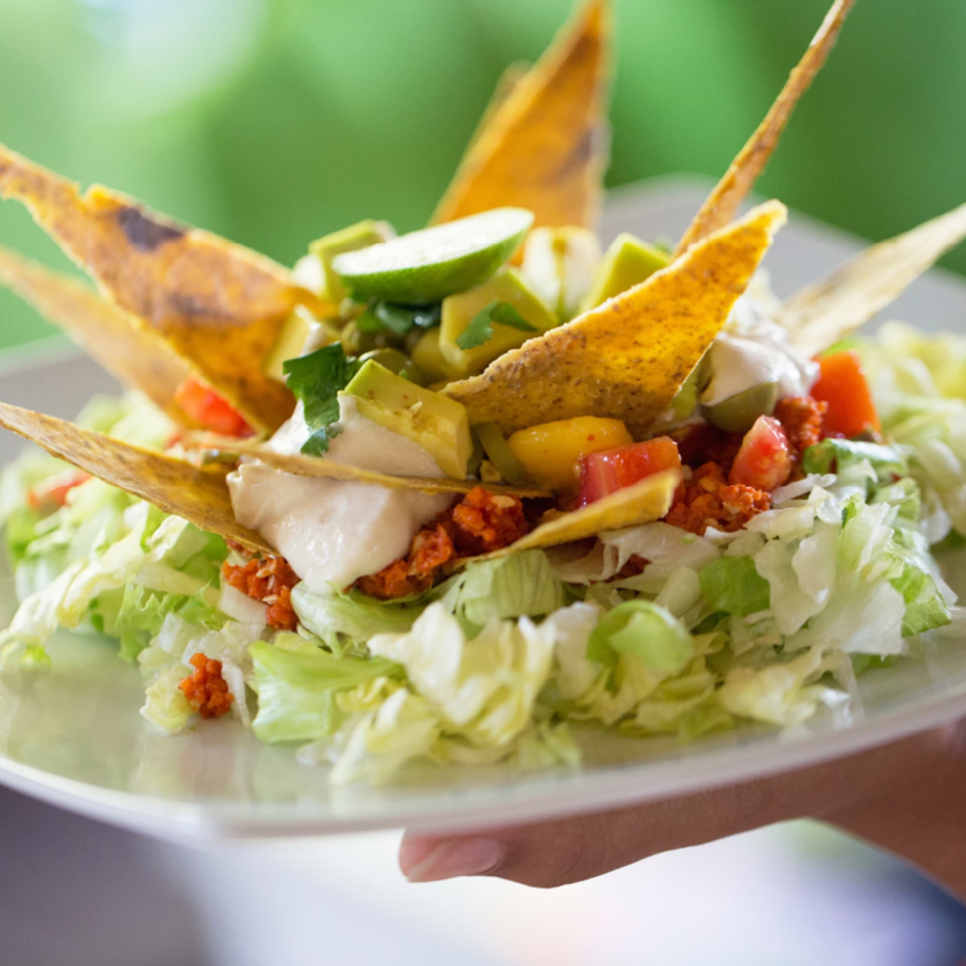 Das Rezept für mexikanischen Schichtsalat finden Sie hier!