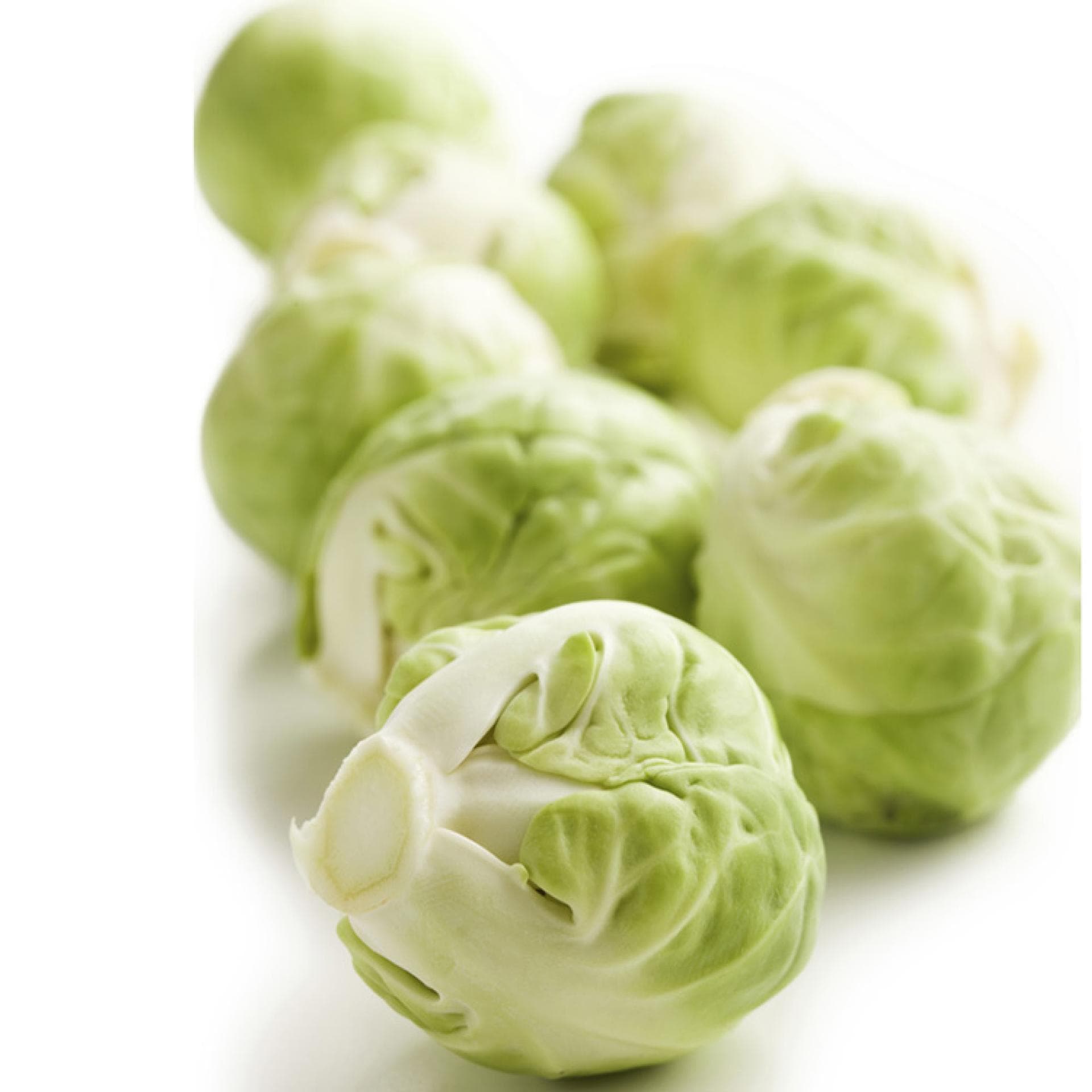 Rosenkohl
