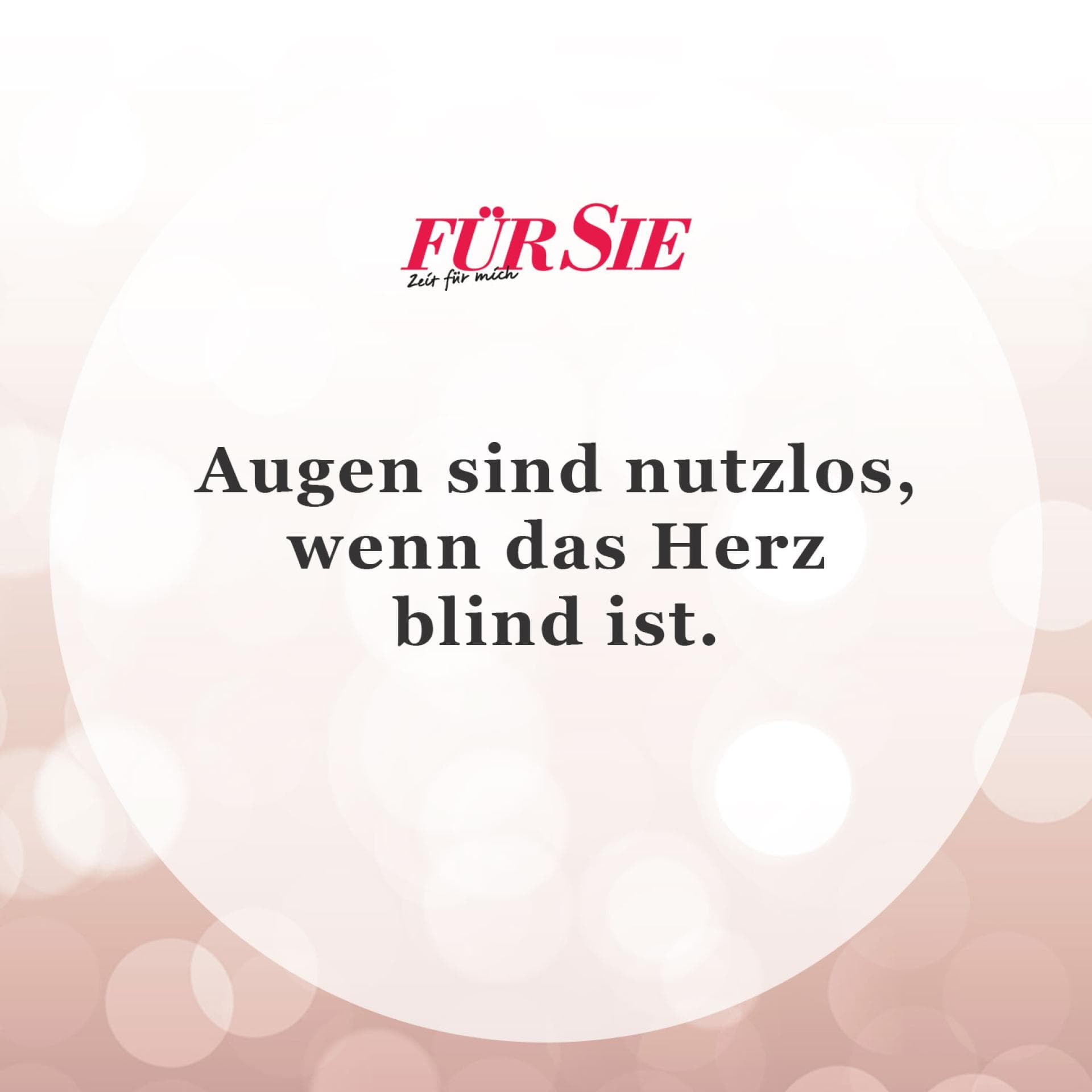 Der Spruch des Tages für den Januar