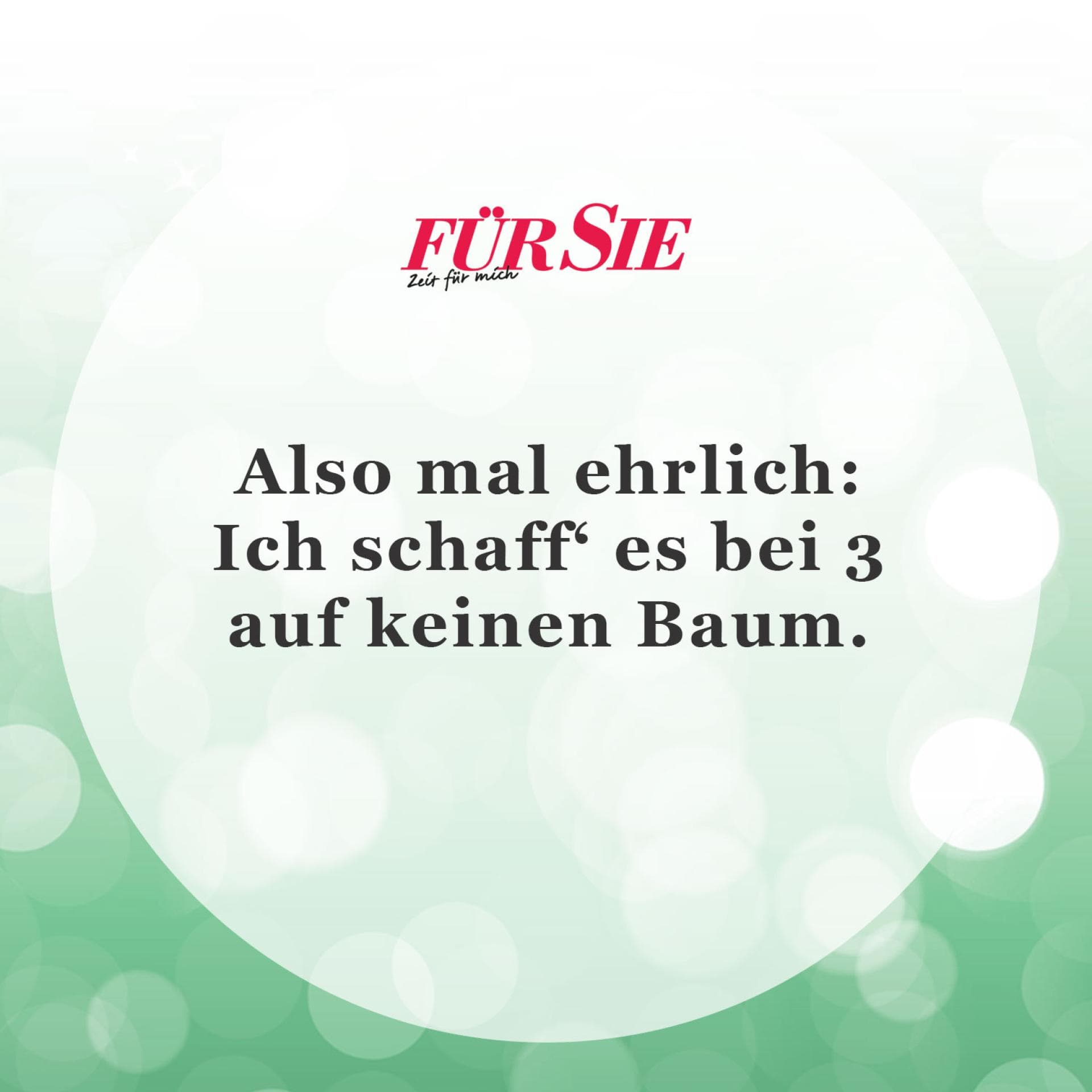 Der Spruch des Tages für den Januar
