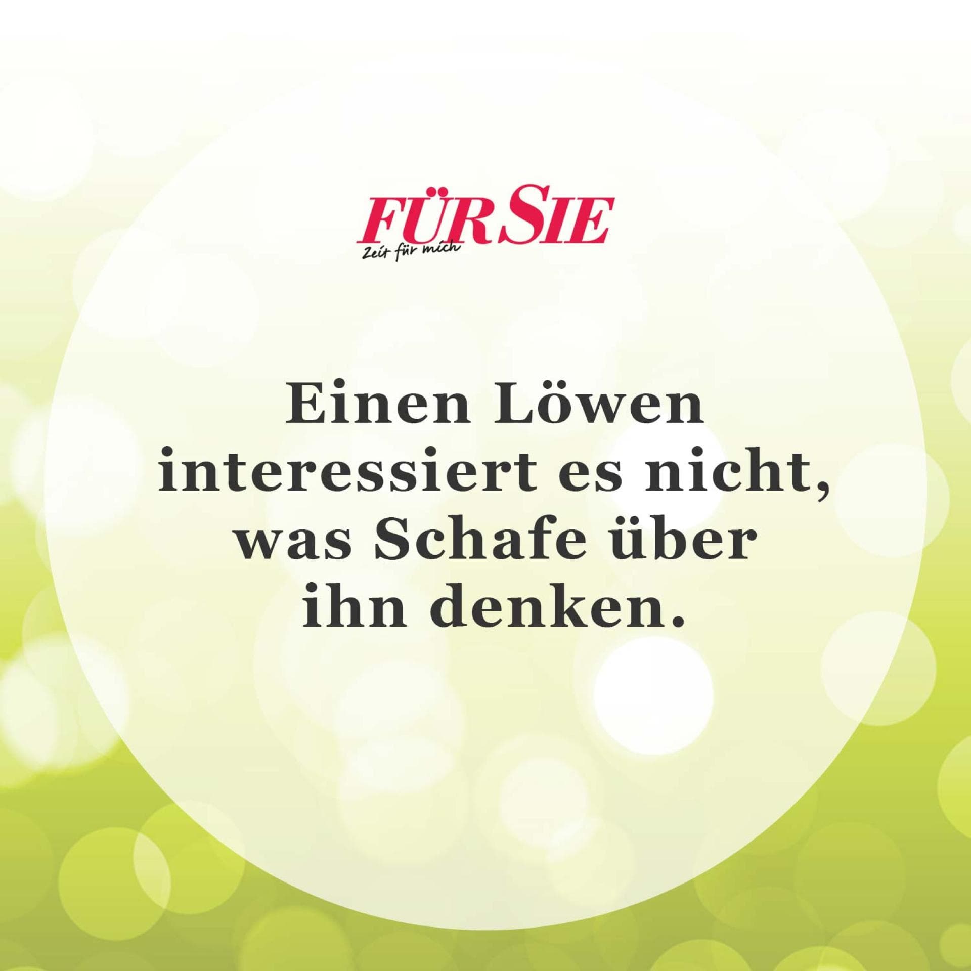 Spruch des Tages 25. Oktober Spruch des Tages 25. Oktober