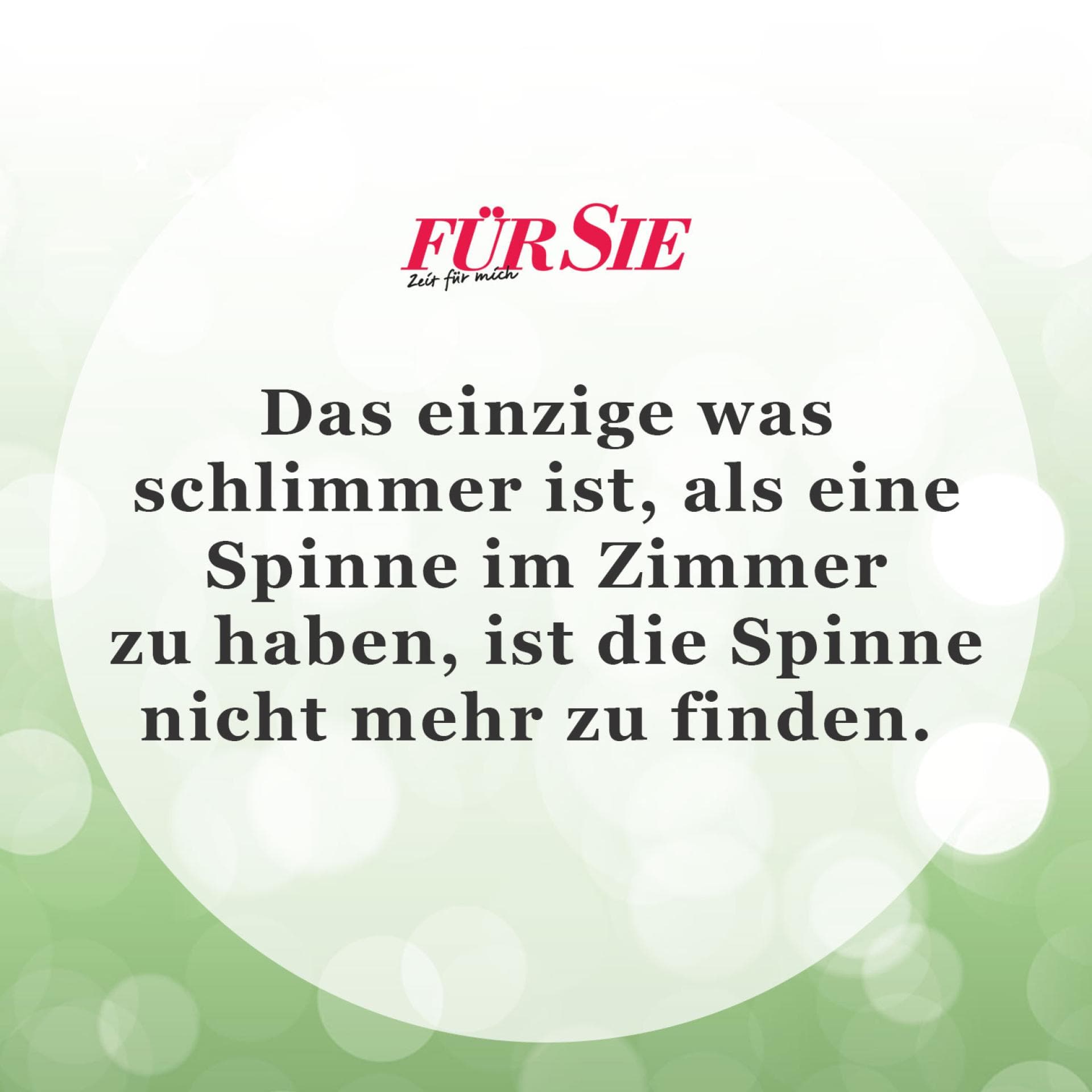 Der Spruch des Tages für den Januar