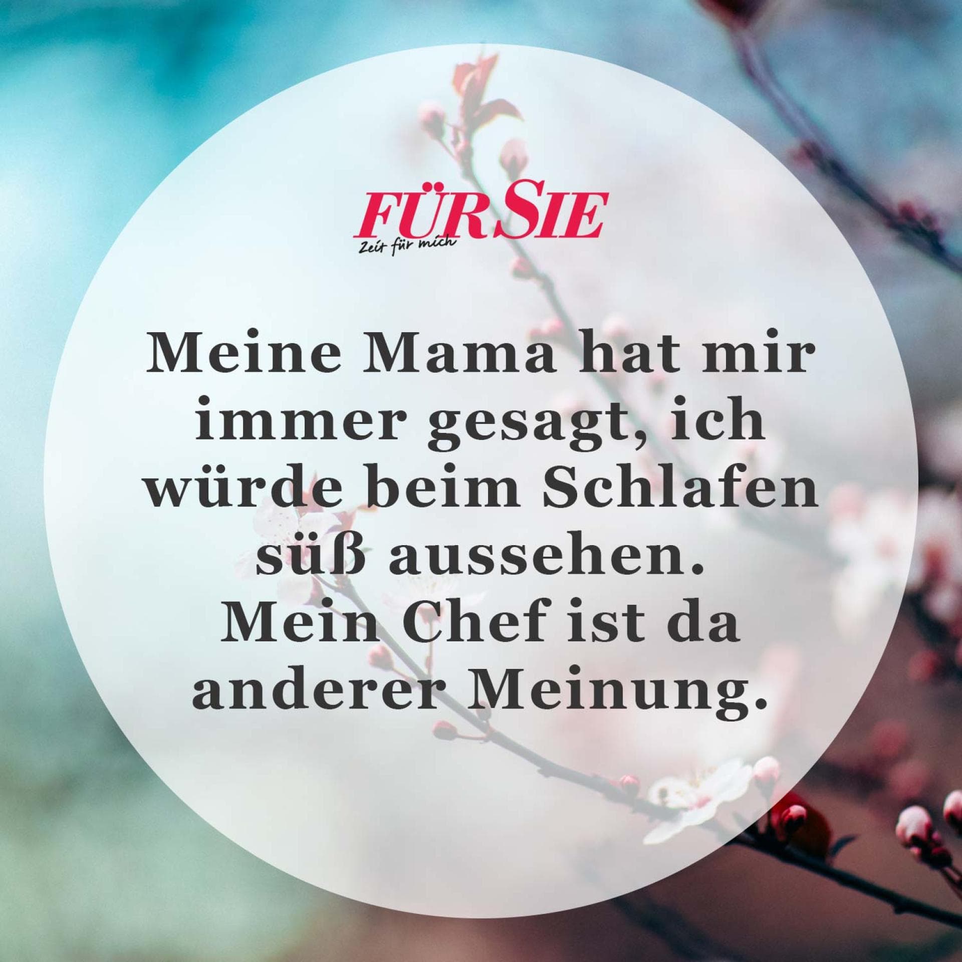 Unser Spruch des Tages für den 3. Juli