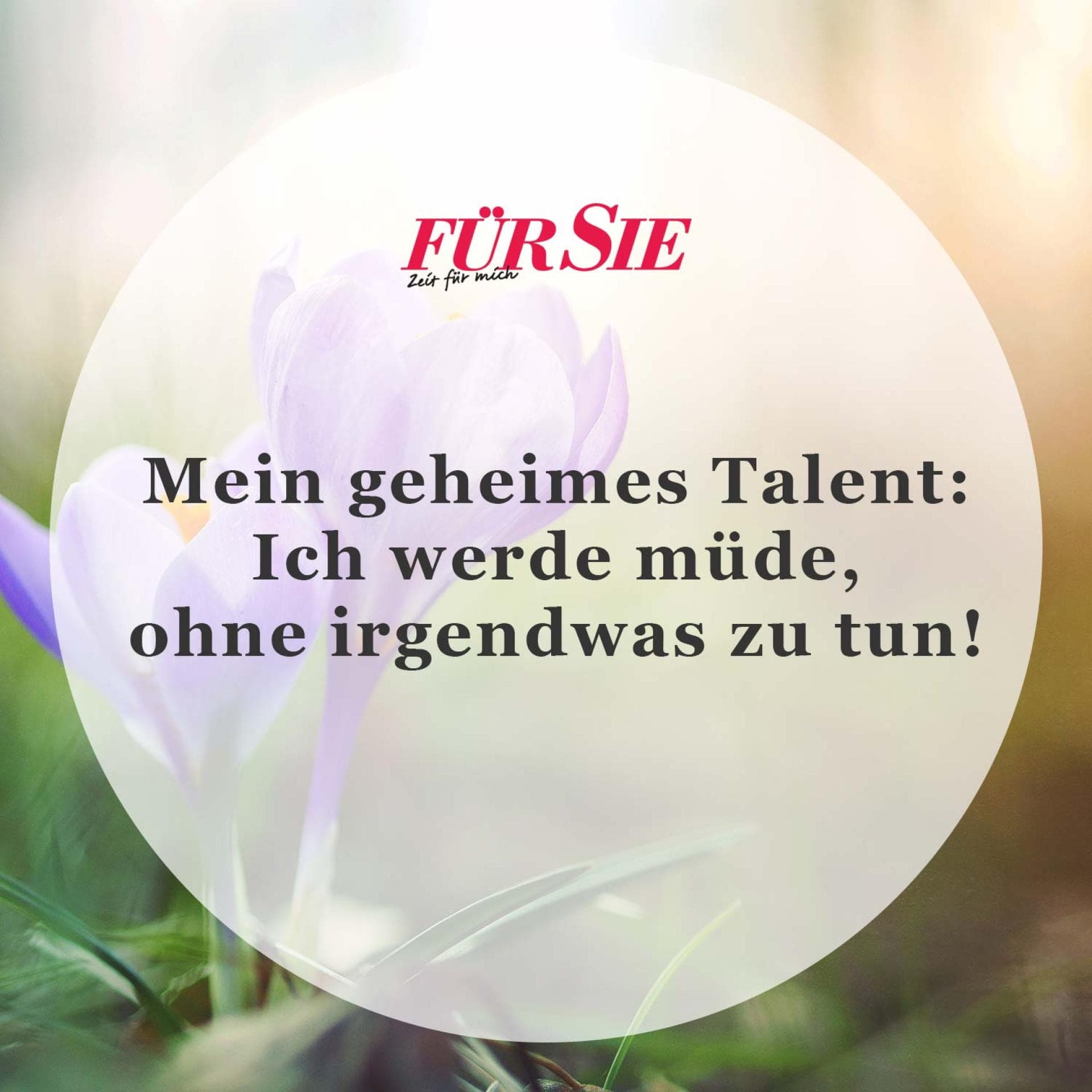 Unser Spruch des Tages für den 5. Juli