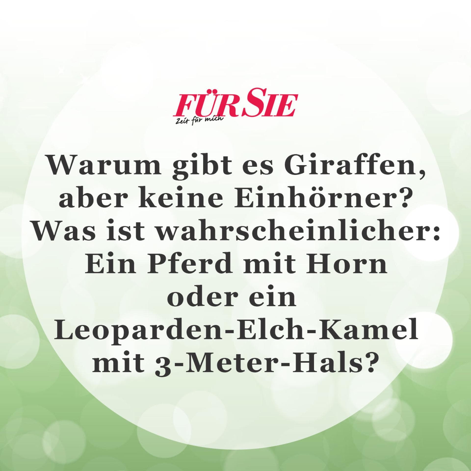 Der Spruch des Tages für den Januar
