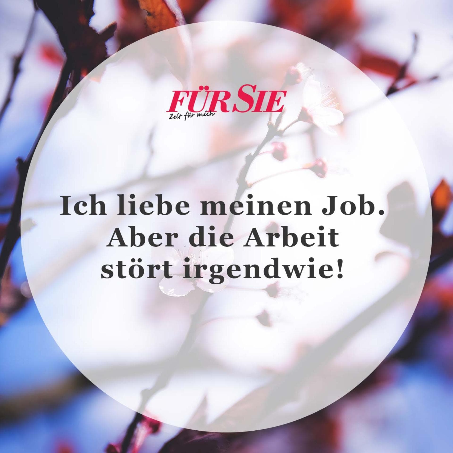 Unser Spruch des Tages für den 6. Juli