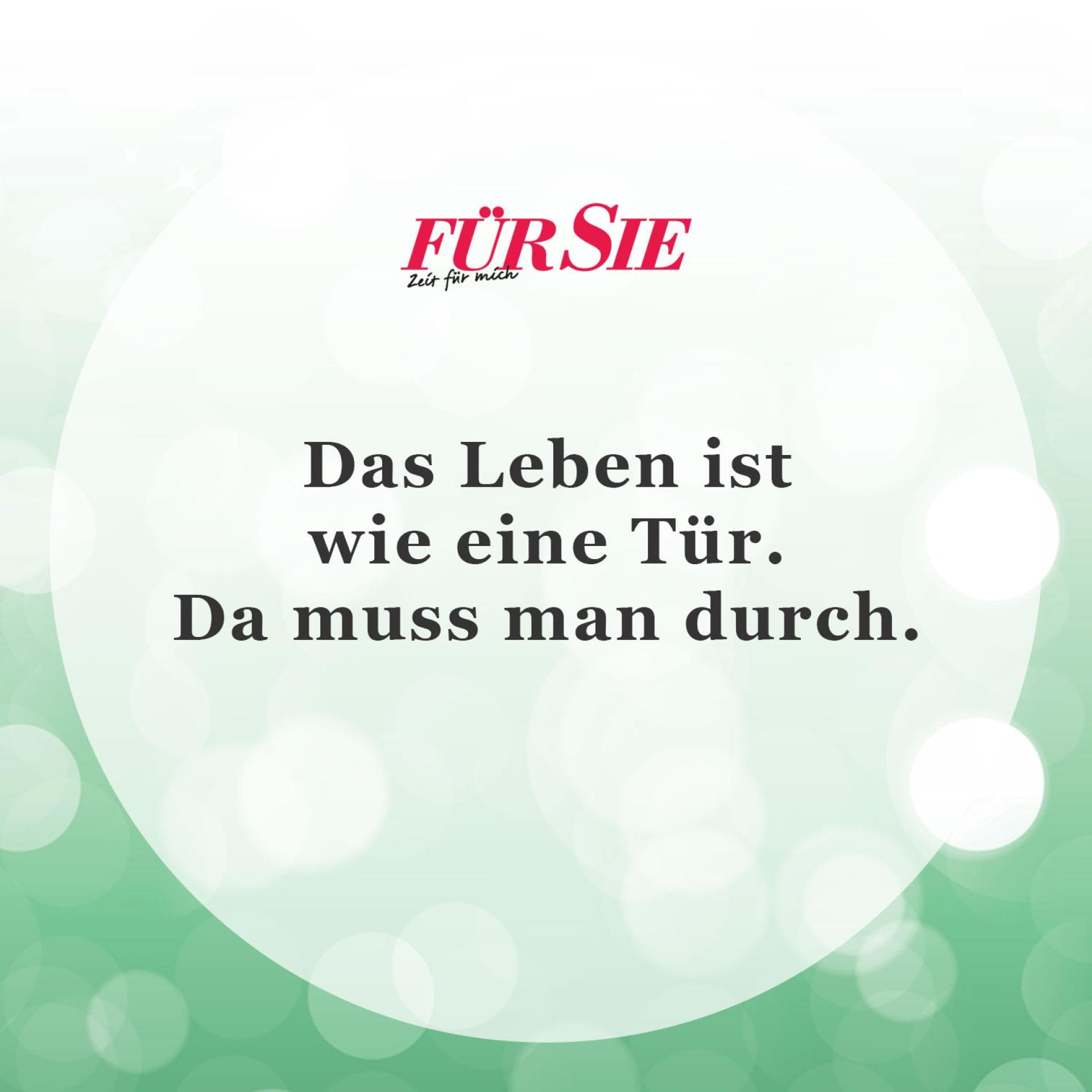 Unser Spruch des Tages für den 6. November