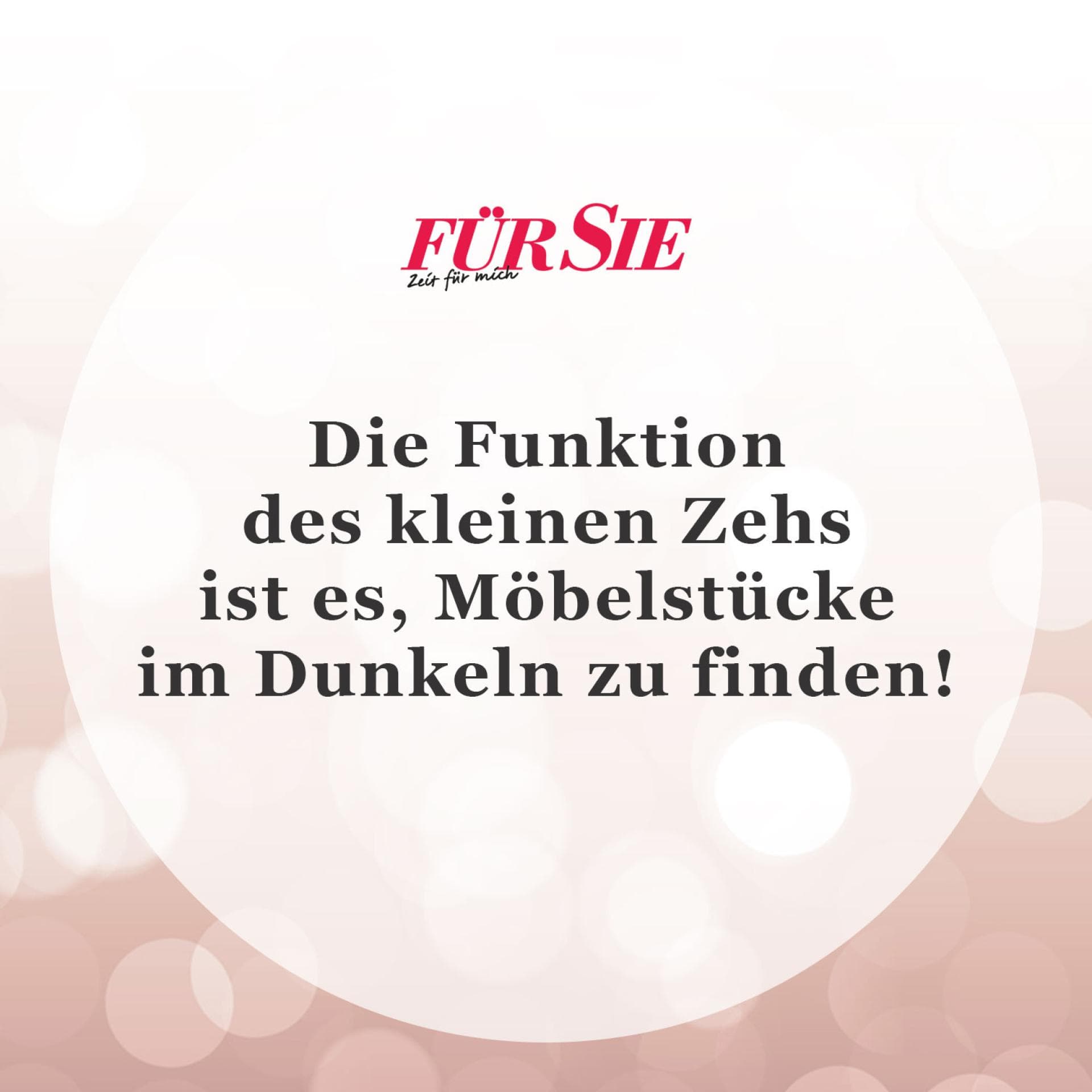 Spruch des Tages für den 7. November