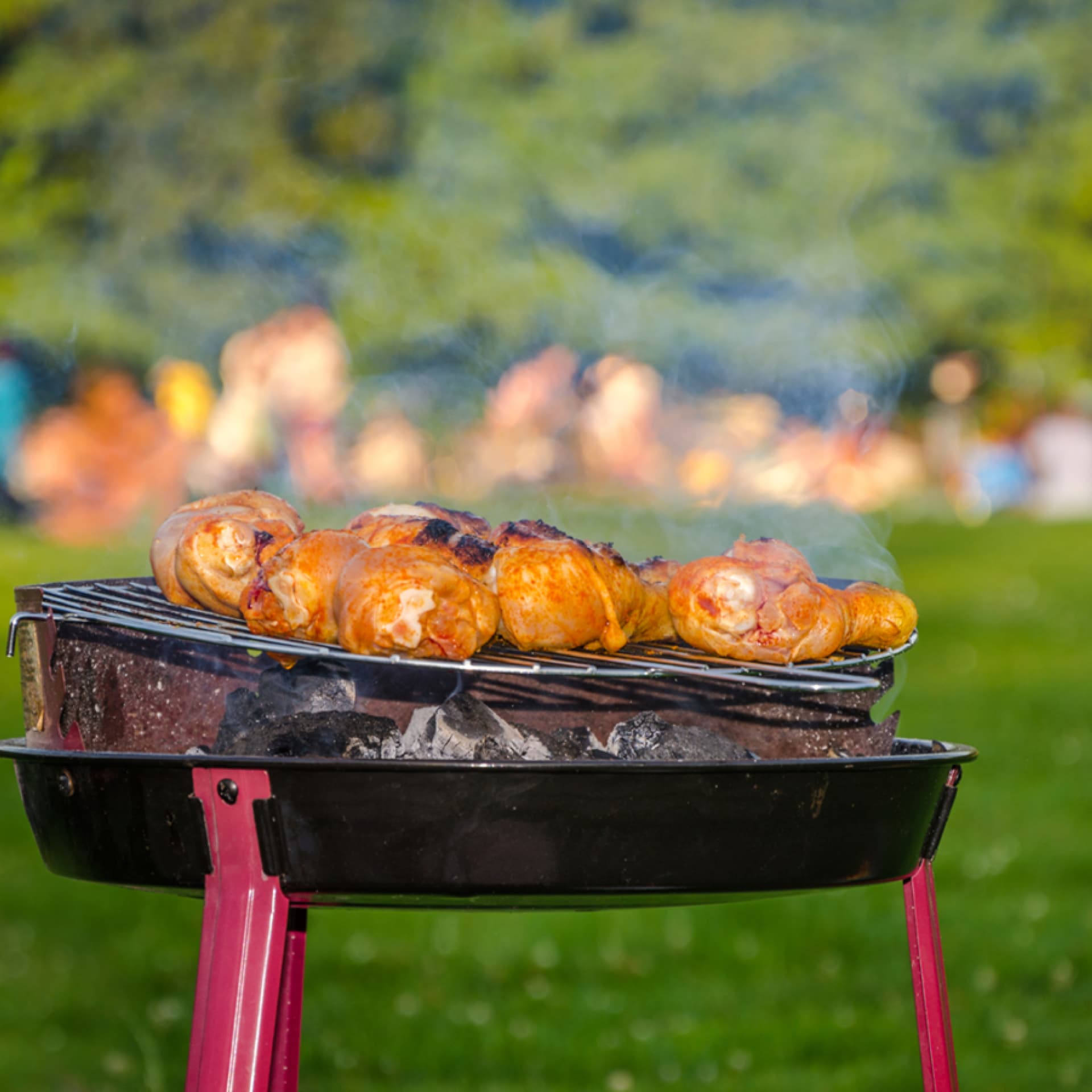 Tipps für das Grillen im Park Grill im Park