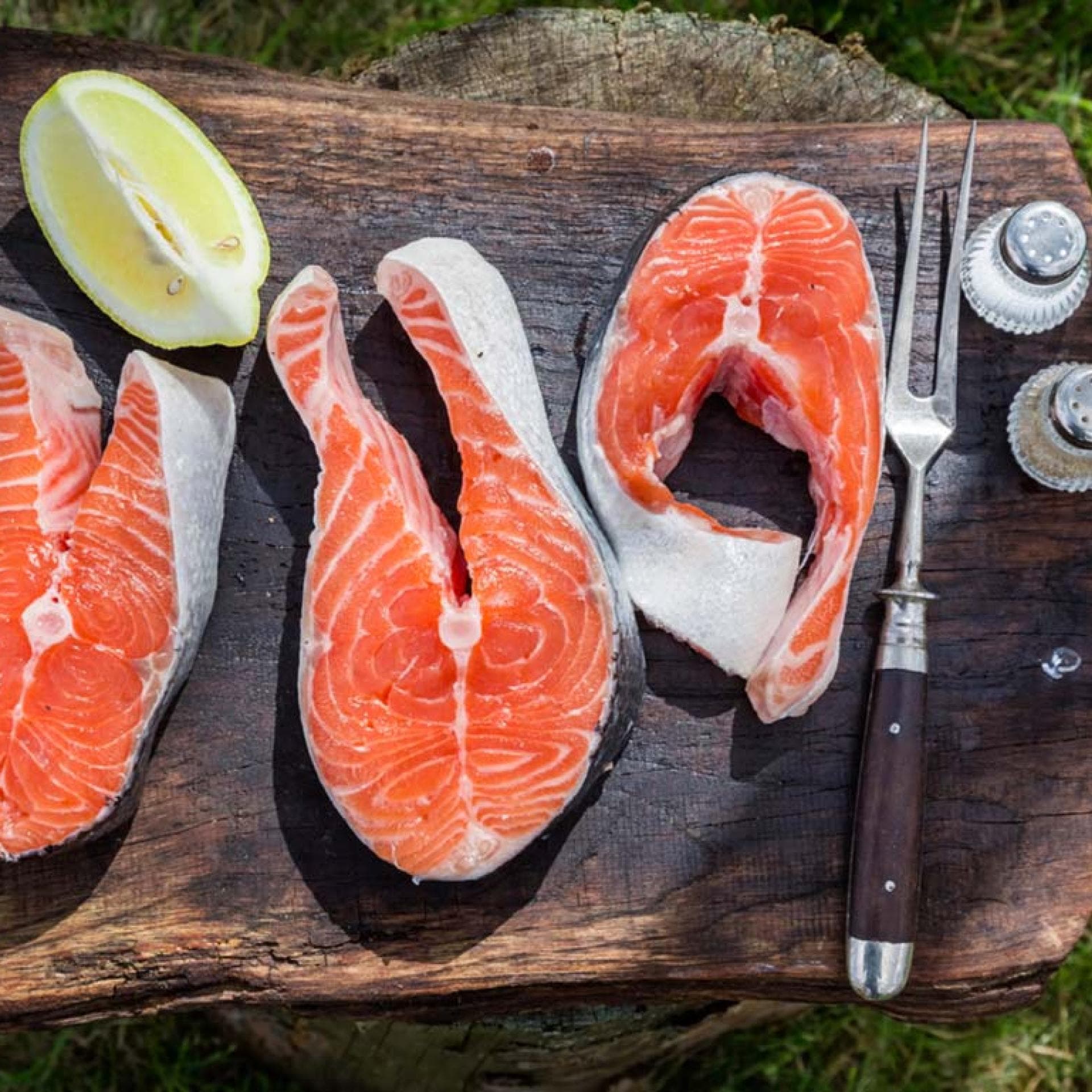 Lachs auf dem Grill Lachs auf dem Grill