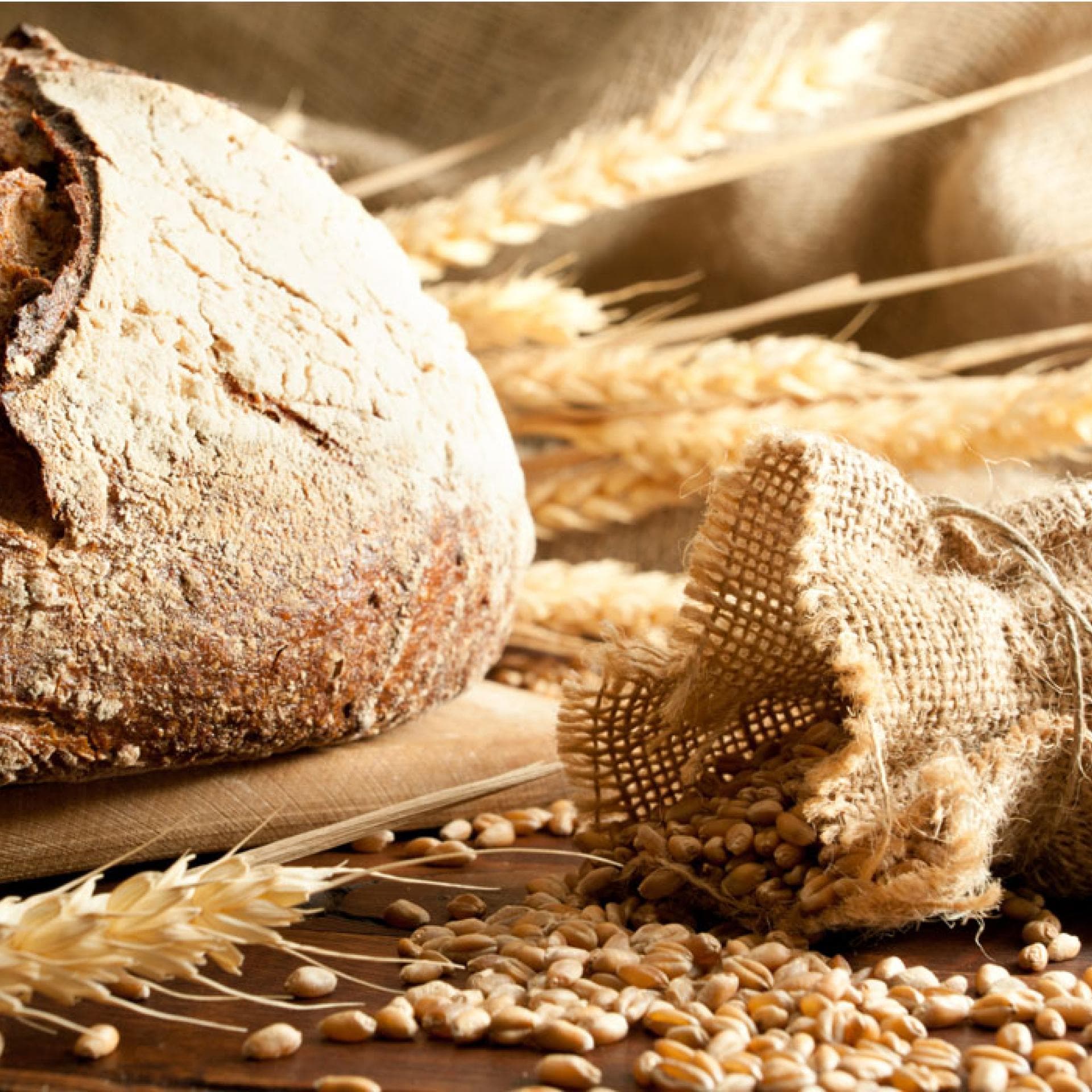 Wissenswertes über Brot