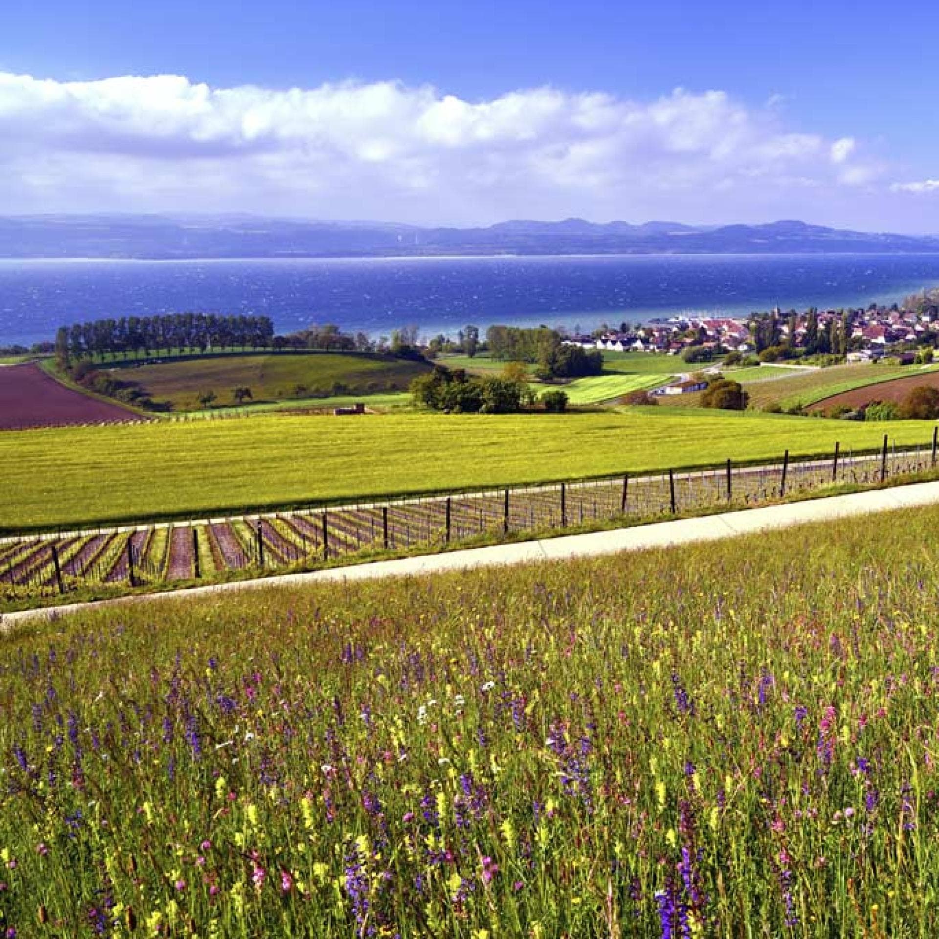 Yverdon les Bains in der Schweiz 