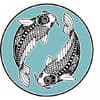 Sternzeichen Fische Test