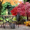 Garten im Herbst