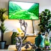 Fernseher mit Naturbild