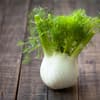 Fenchel 