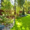 Schattiger Garten