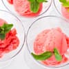 Rhabarber Granita Sorbet