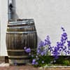 Regentonne für Regenwasser
