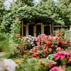 Allergikerfreundlicher Garten 