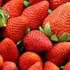 Mit Salzwasser gewaschene Erdbeeren